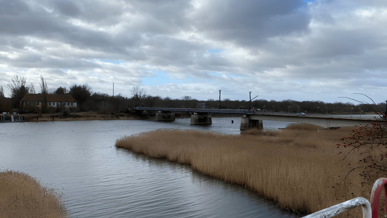 The Oder river and reed banks near Reitwein, the Soviet crossing point before the Battle of Seelow Heights