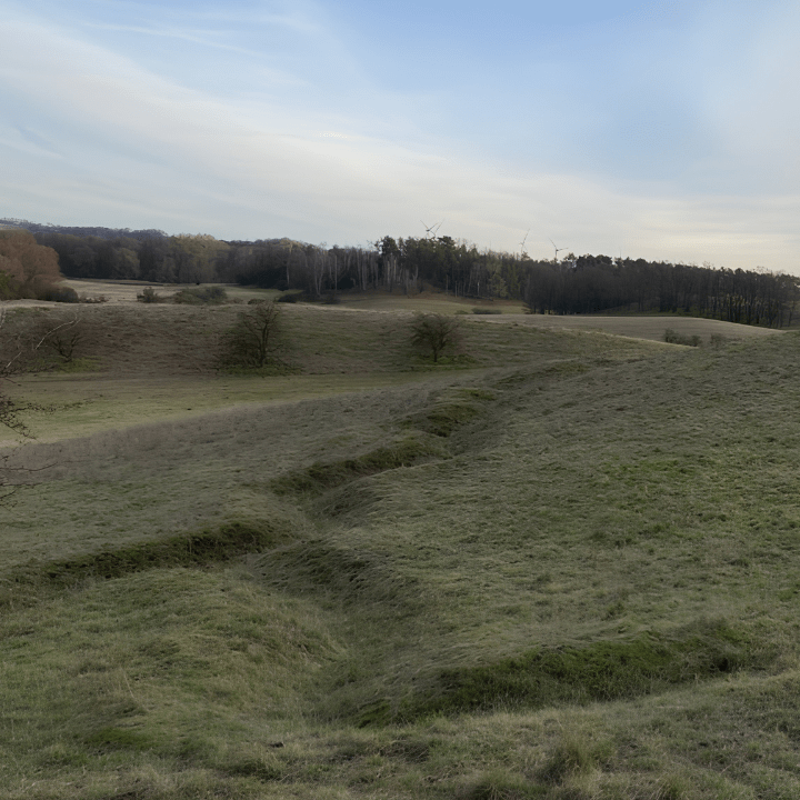 Grassy earthworks and sloping ground of the German defensive positions near Sachsendorf, Seelow Heights