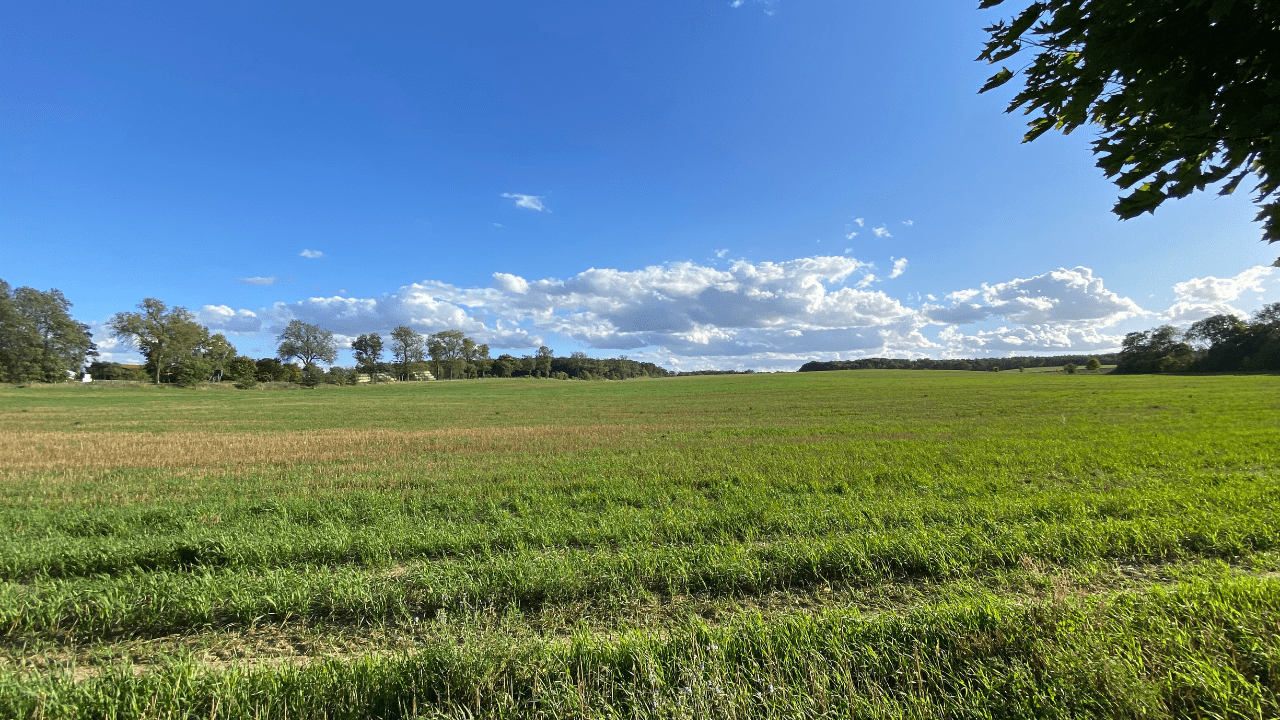 Open farmland and sky at Jahnsfelde, where a German Flak battalion made its final stand in April 1945