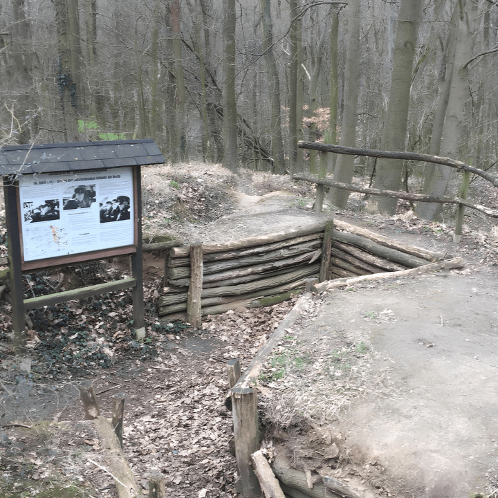 Preserved trench and information board at Marshal Zhukov's command post on the wooded Reitwein Spur
