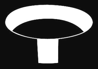 collar.jpg