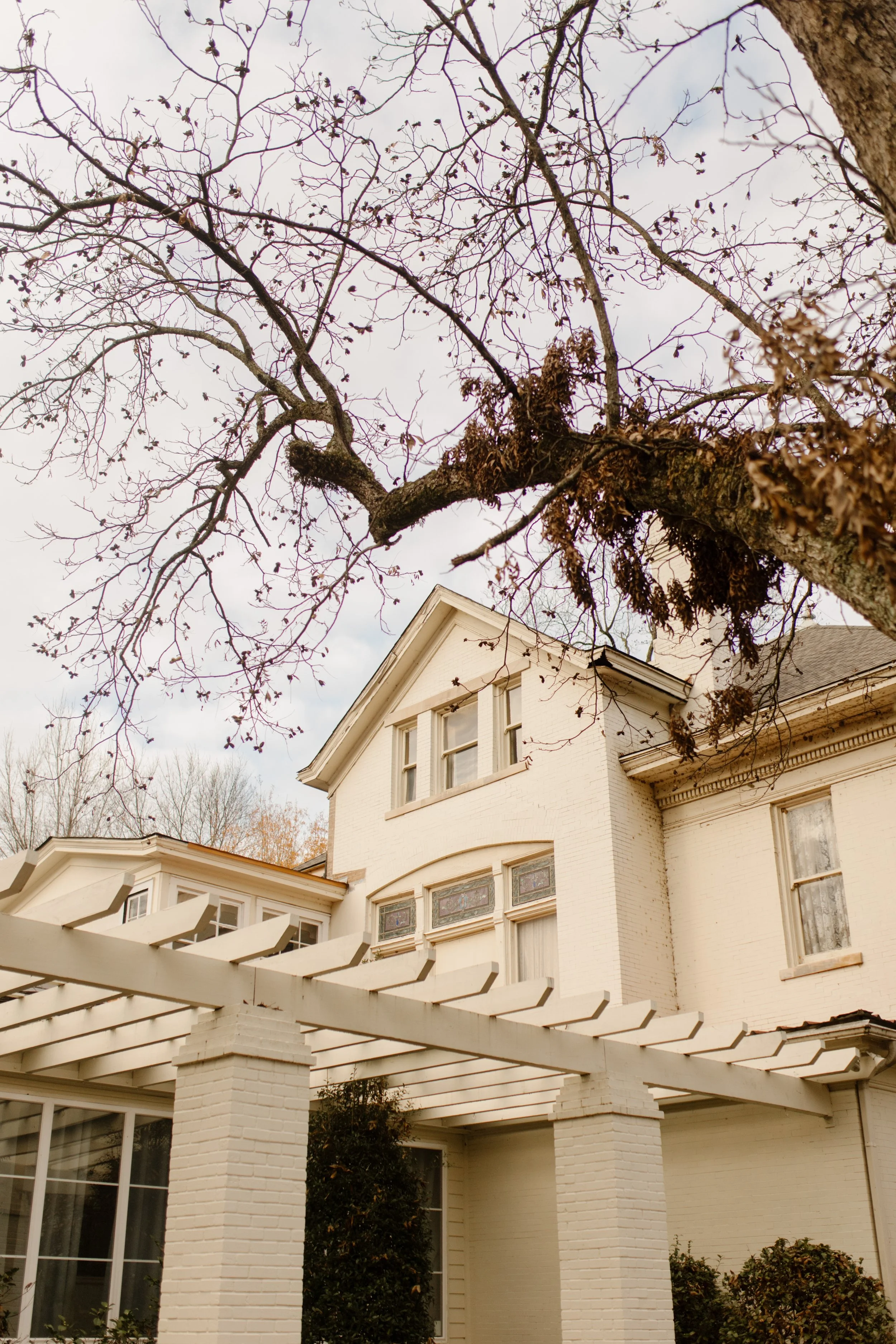 View of the white brick estate with bare branches stretching overhead—a still and moody shot from the Arkansas wedding venue.