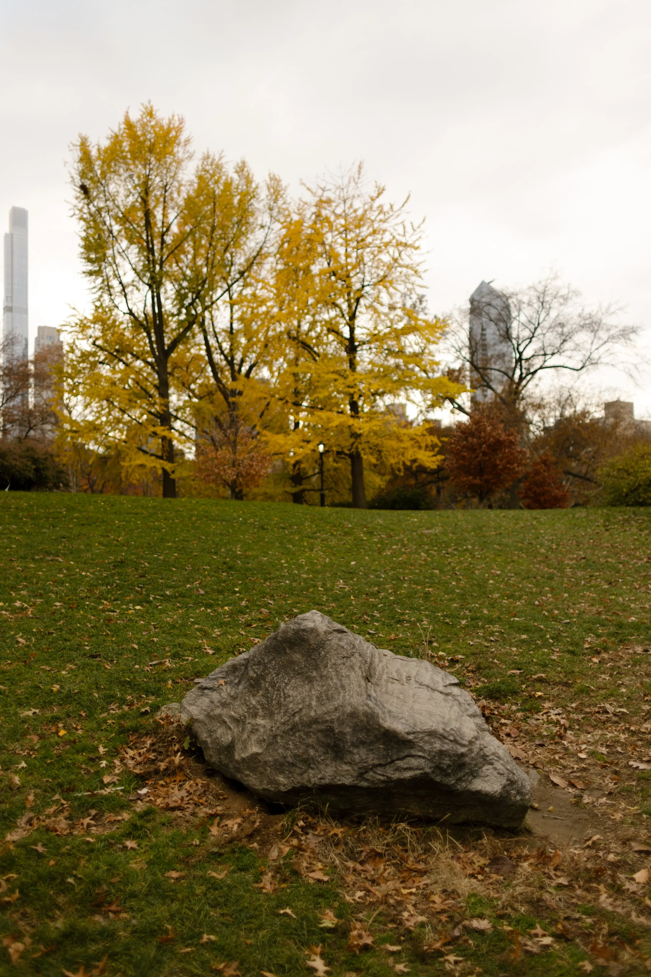 A quiet rock in an open grassy field, surrounded by golden trees and distant NYC skyscrapers.