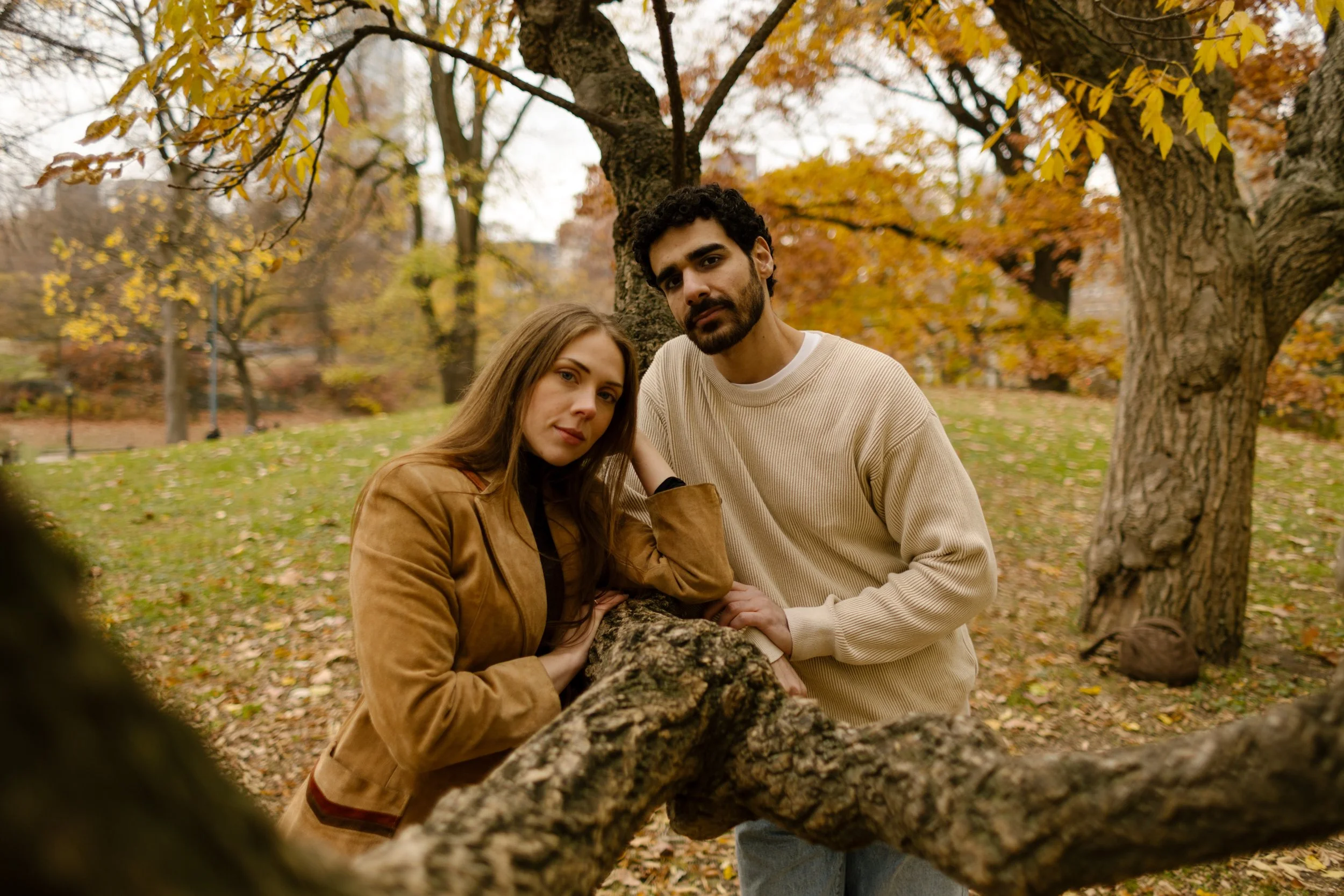 Couple resting gently on a low tree limb with their heads together, surrounded by fall foliage in Central Park.