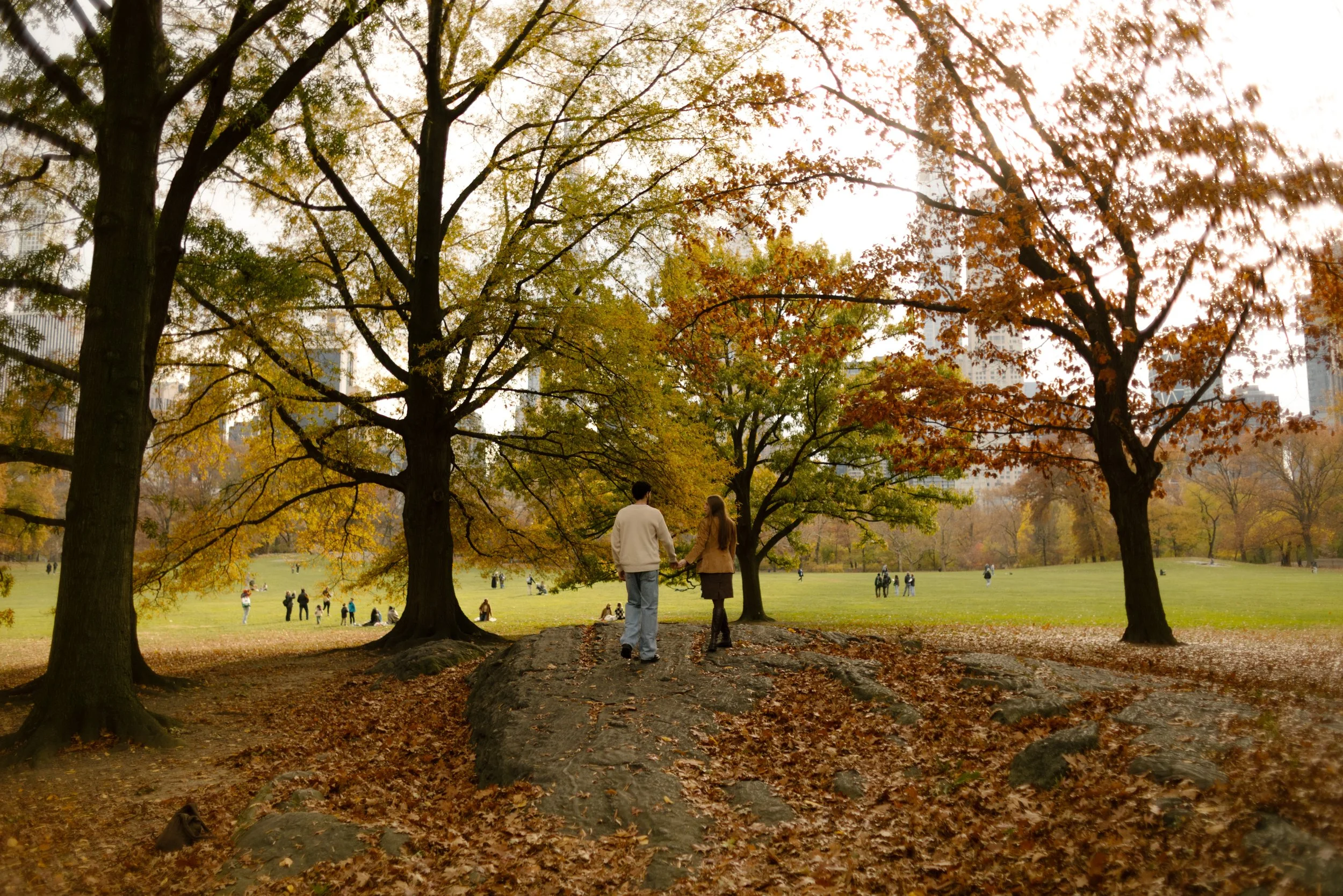 Couple walking hand-in-hand across a rocky clearing in Central Park, framed by trees and soft autumn light.