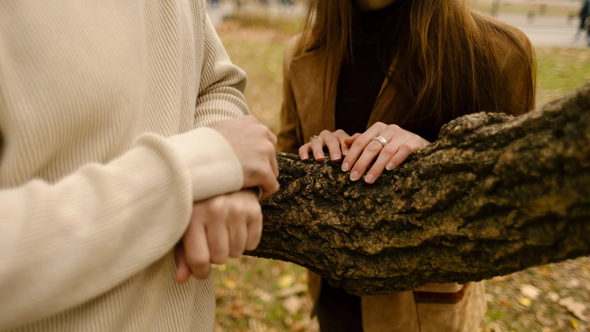 Close-up of an engaged couple’s hands resting on a tree branch during a quiet fall moment in Central Park.