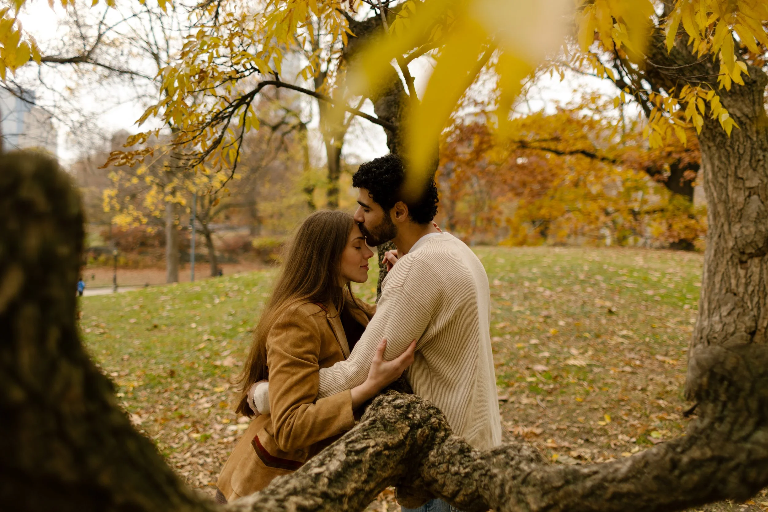 Tender moment as a couple embraces beneath yellow fall leaves, framed by branches in Central Park.
