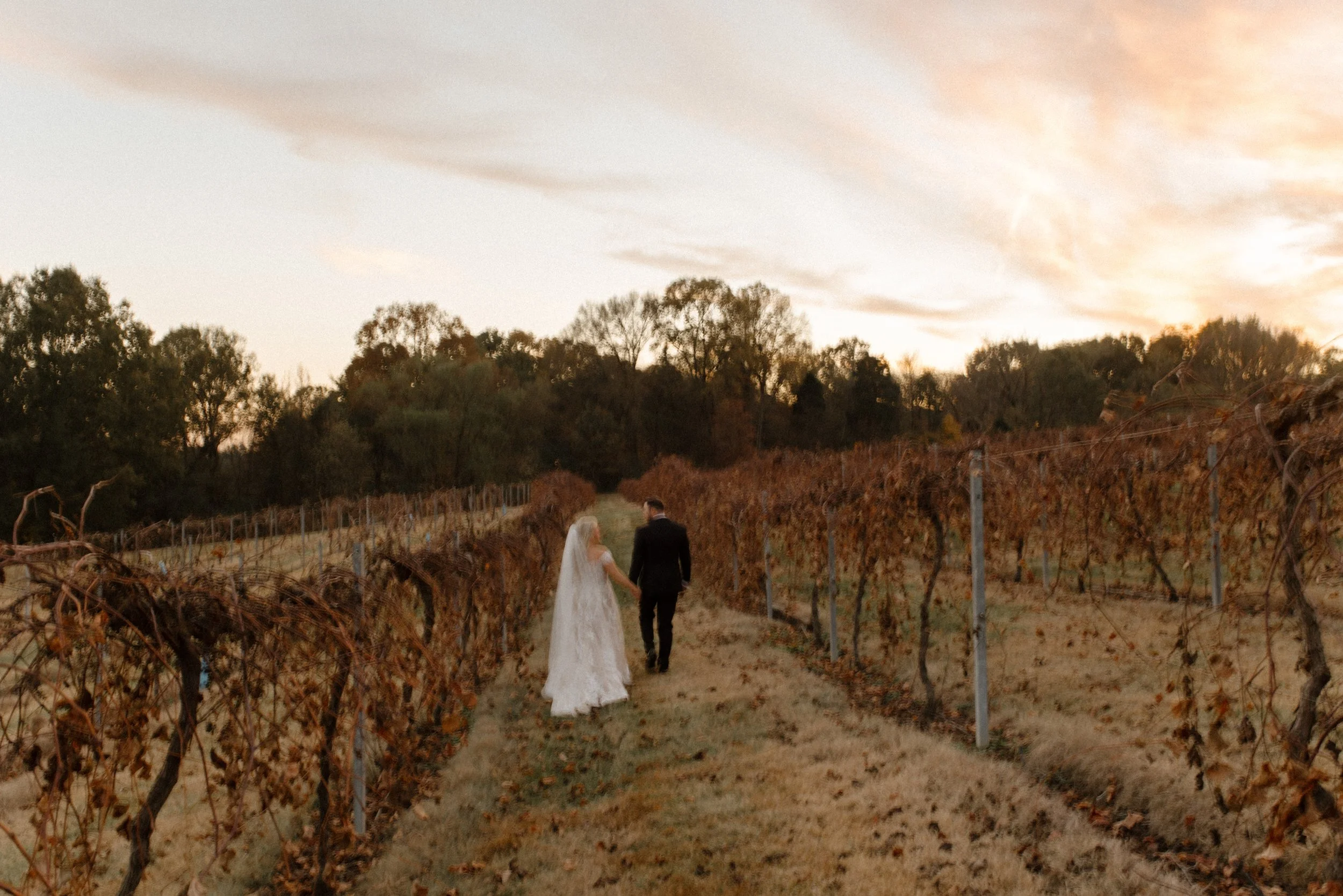 Bride and groom walking through vineyard rows at sunset during their italy inspired wedding with soft autumn skies overhead.