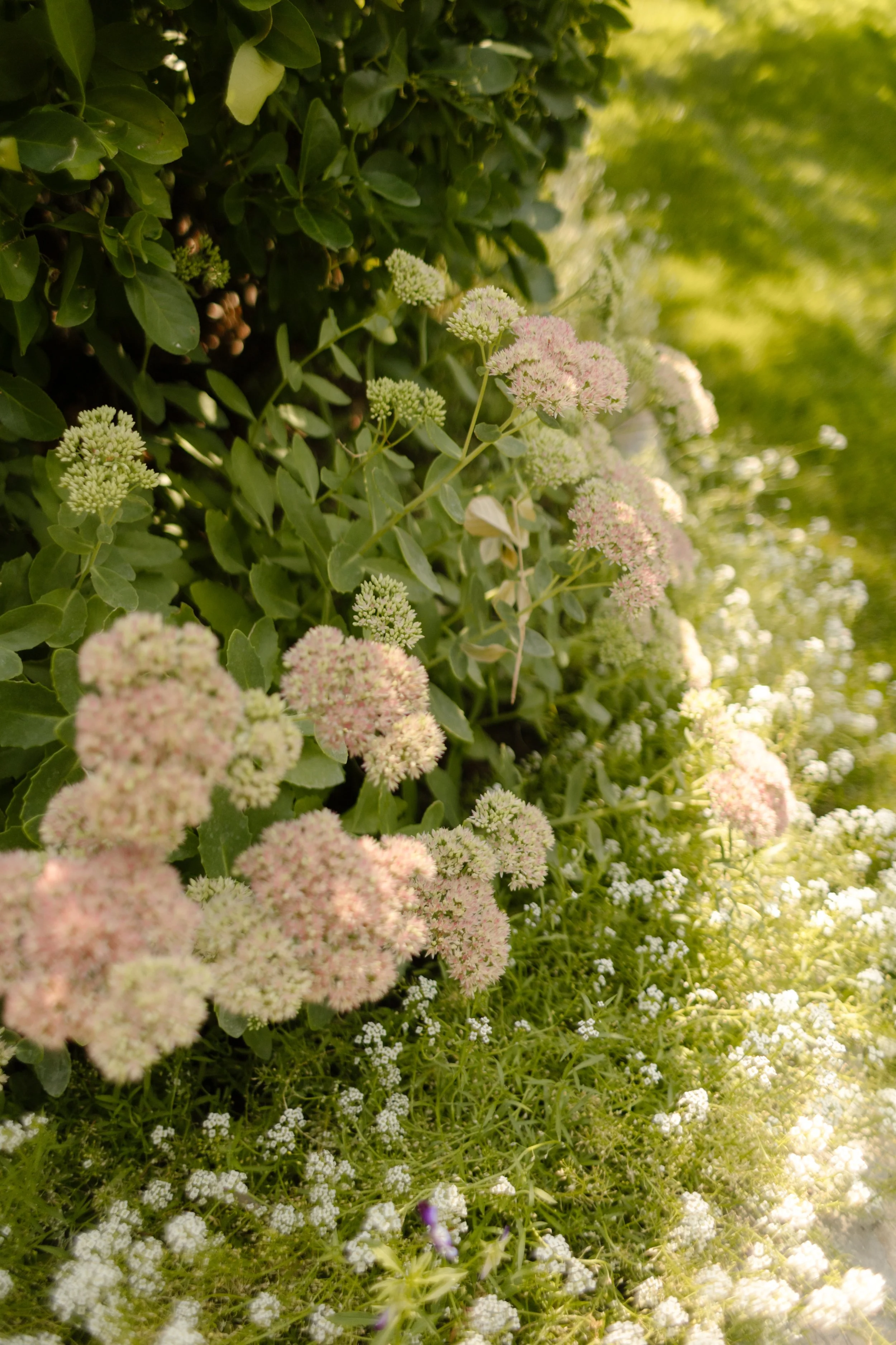Close up of florals on site of utah wedding venue.