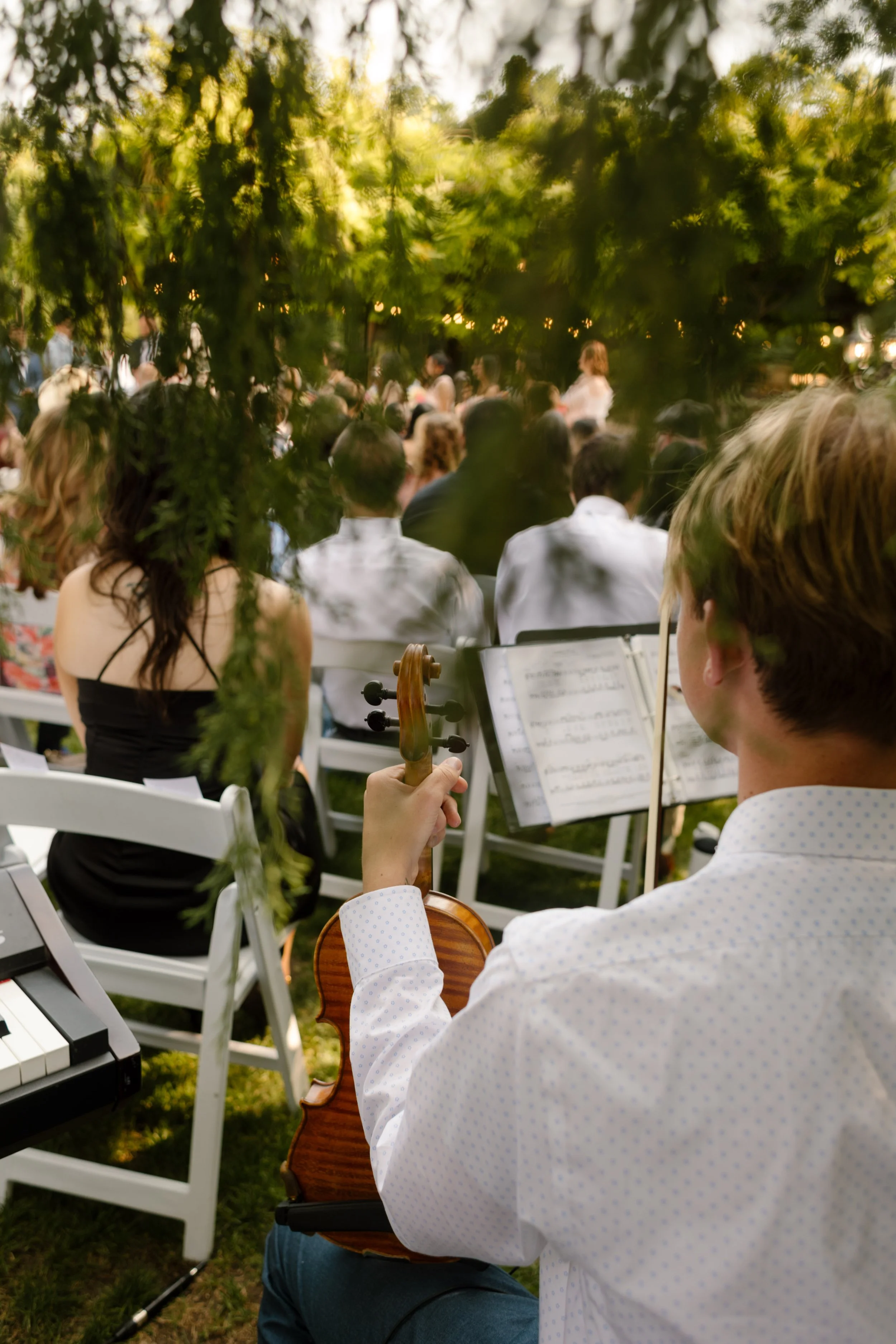 Musician holding a violin and reading sheet music while seated among guests during an outdoor wedding ceremony beneath leafy trees.