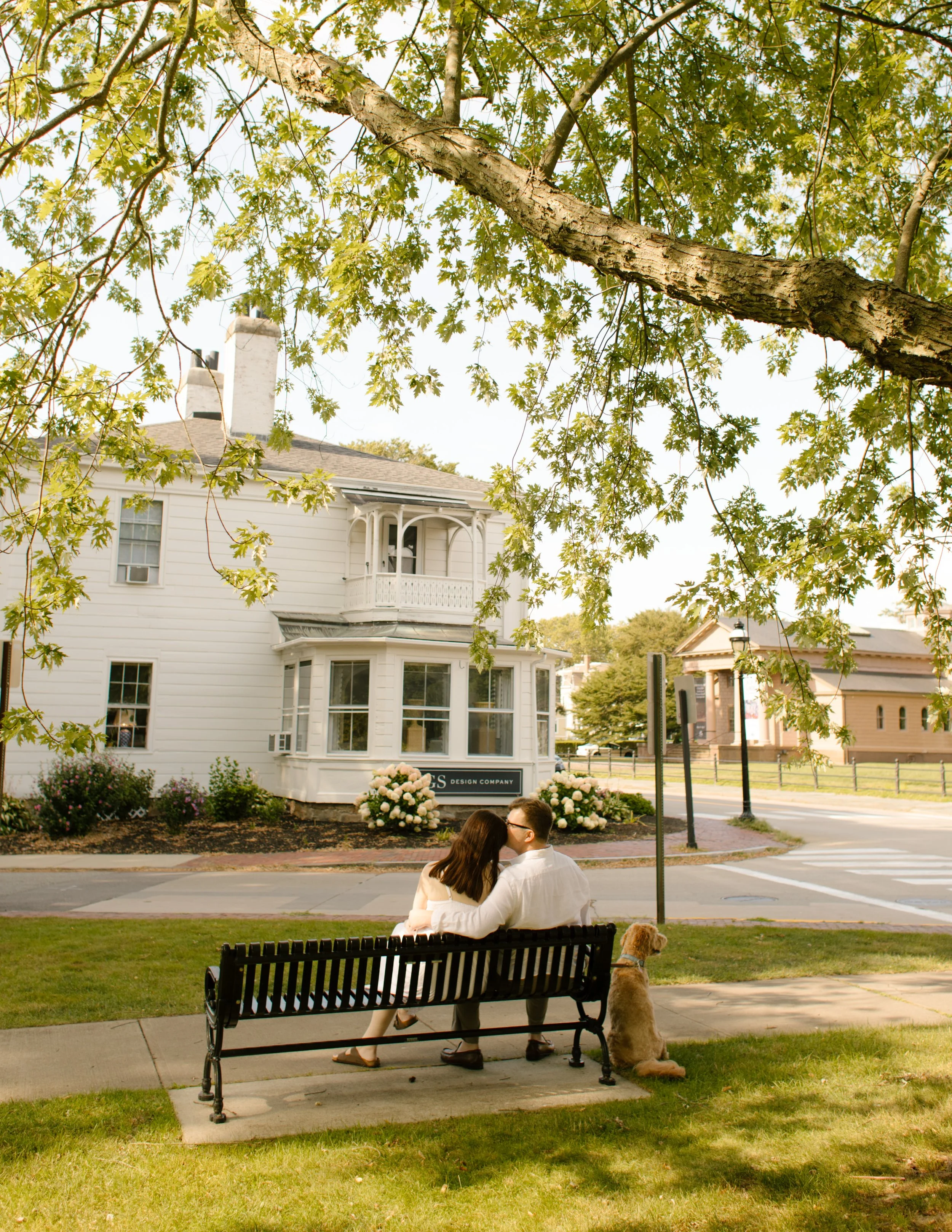 Couple sitting on park bench with their dog in Newport Rhode Island