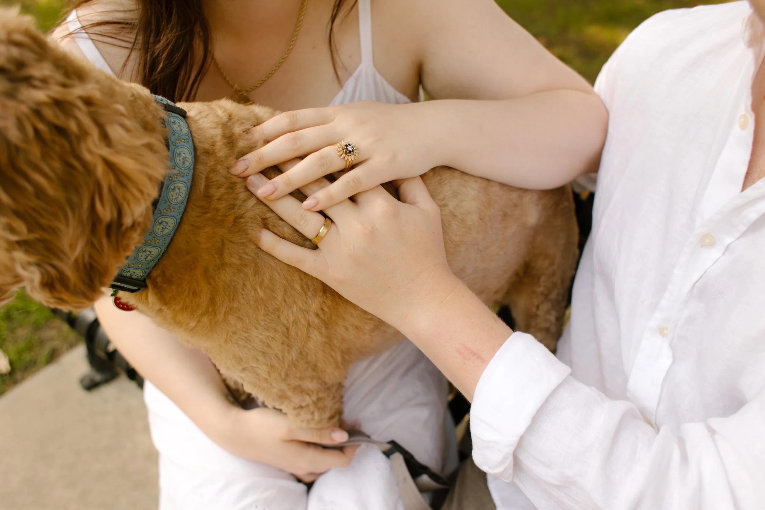 Close-up of couple holding their dog and engagement ring during Newport Rhode Island engagement photos