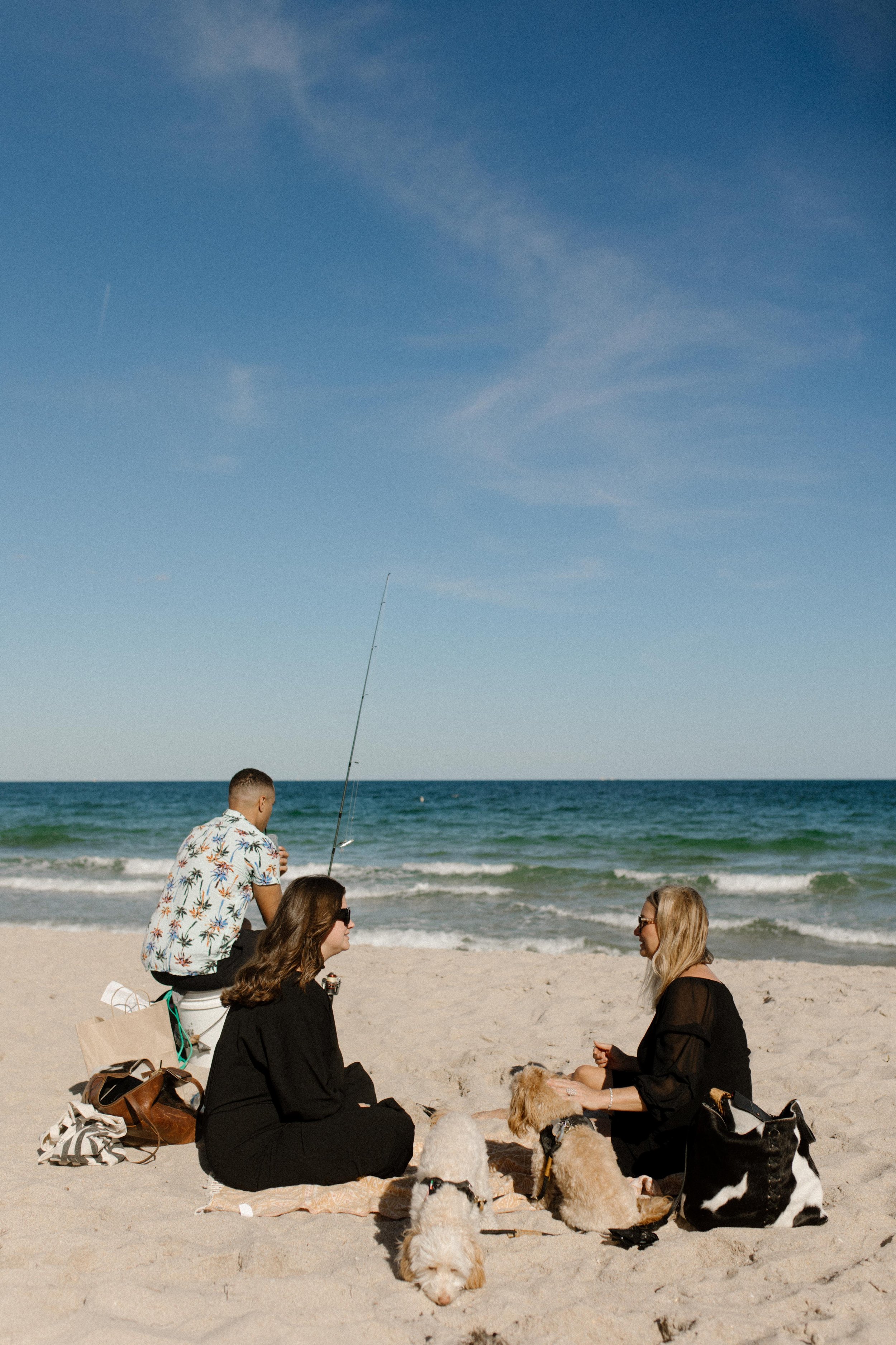 Group sitting together on the beach with dogs and bags scattered around, talking and laughing while the ocean stretches out behind them, an effortless scene rooted in how to plan a surprise proposal