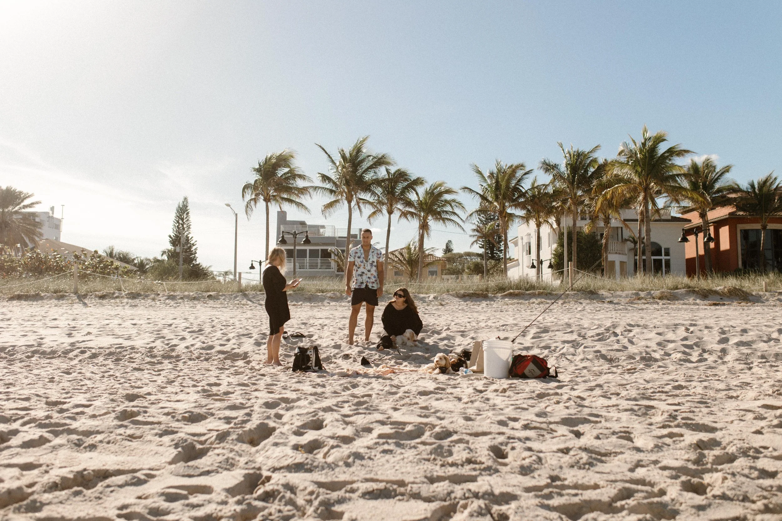 Wide shot of friends and dogs gathered on the beach with palm trees and houses in the background