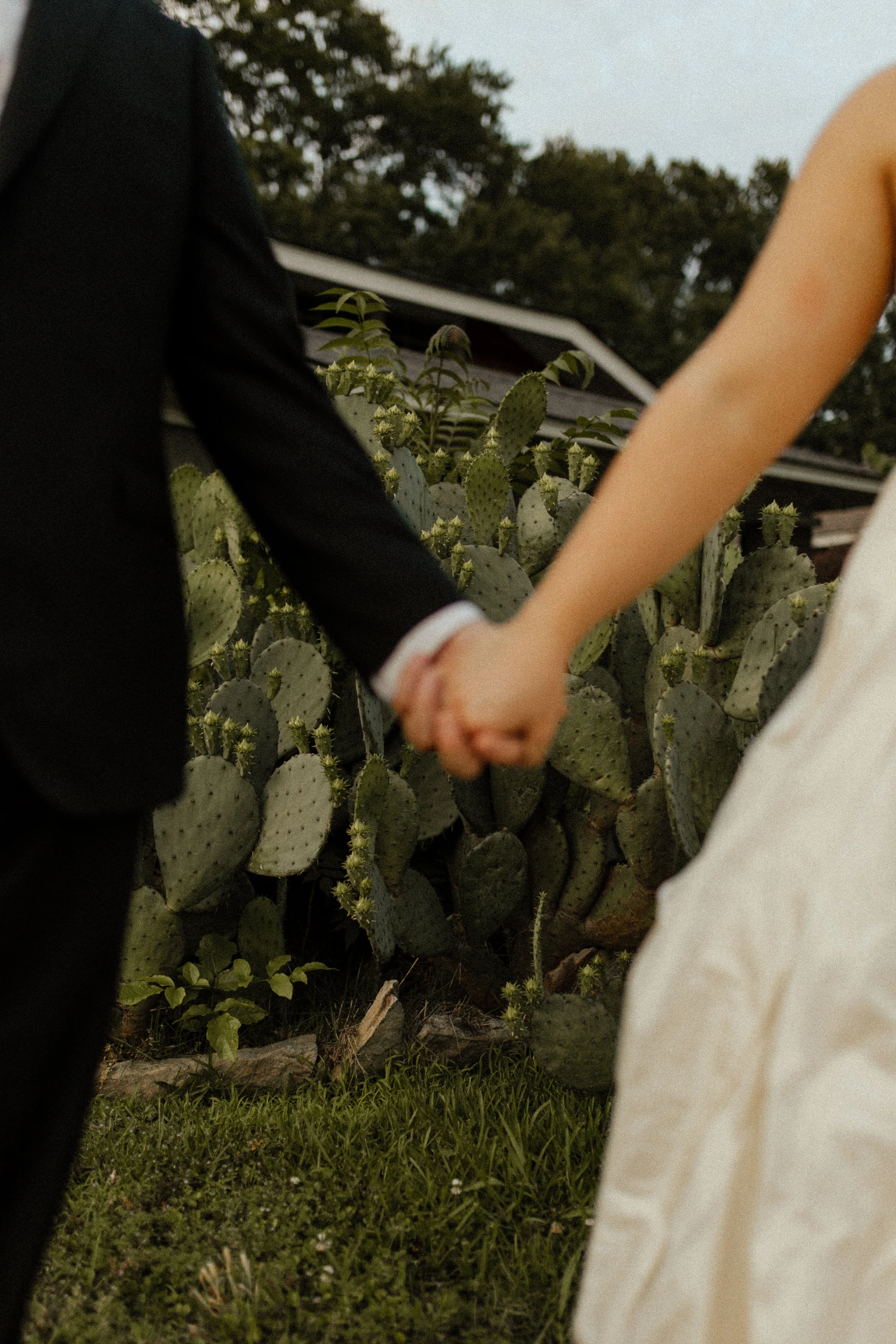 Close-up of the couple holding hands in front of a cactus garden, creating a textured and intimate pre wedding photos detail.