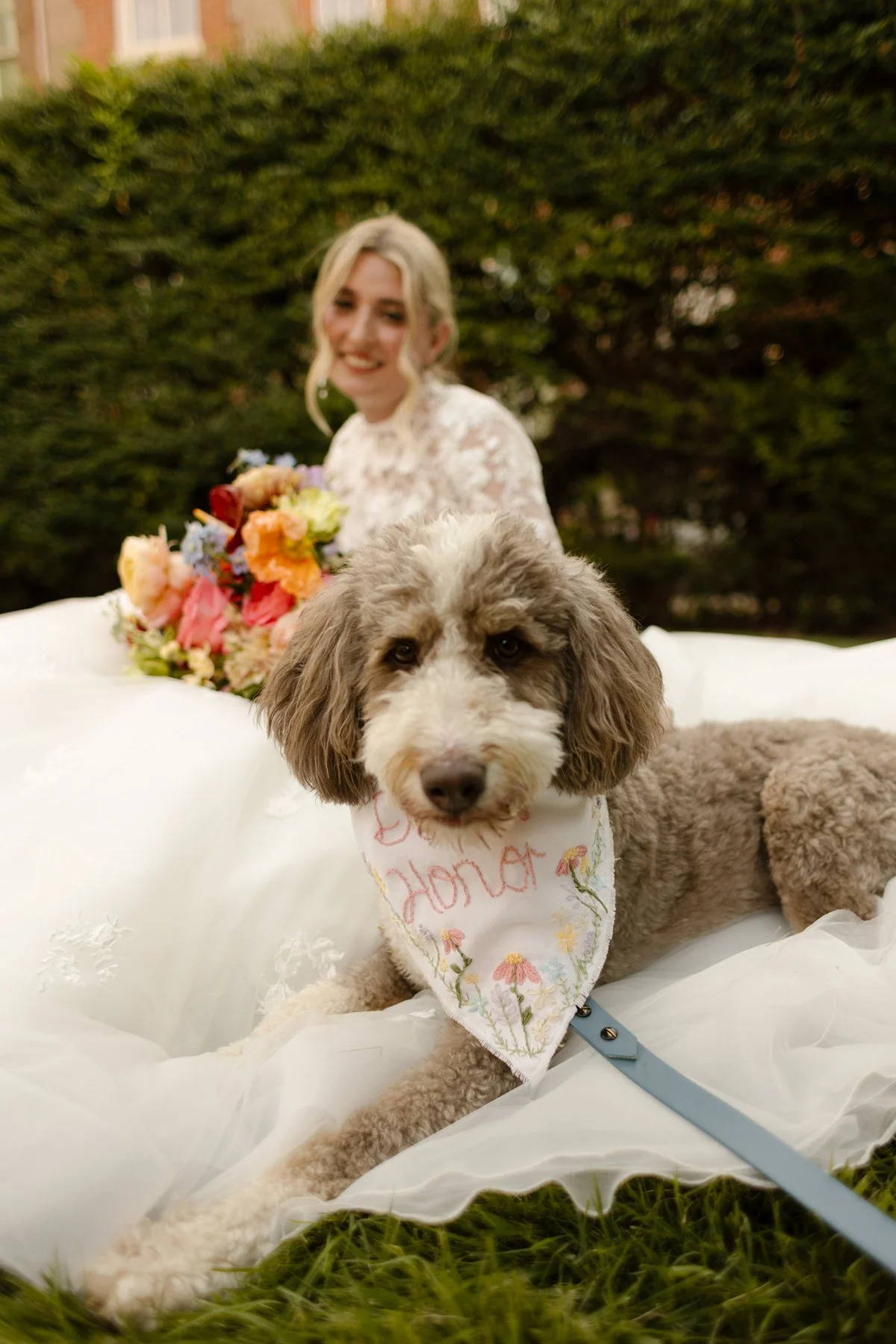 Dog lying on the bride’s dress wearing a “Dog of Honor” bandana, with the bride smiling in the background.