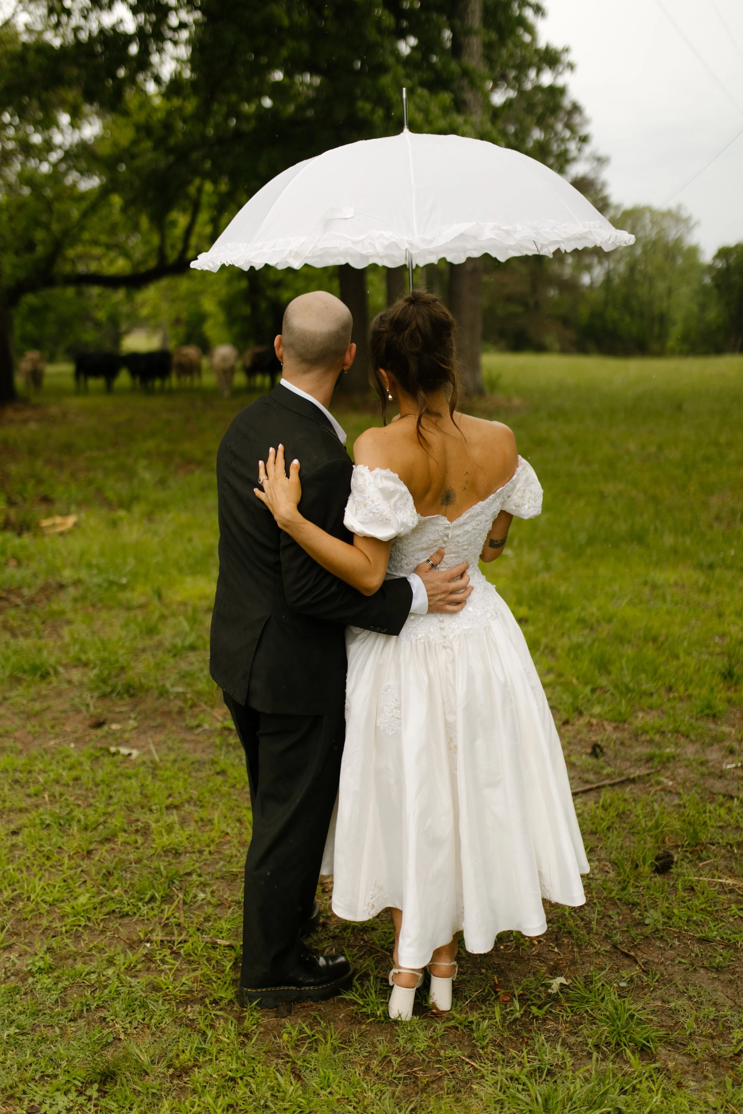 Bride and groom standing together under an umbrella while watching cows in a Mississippi pasture