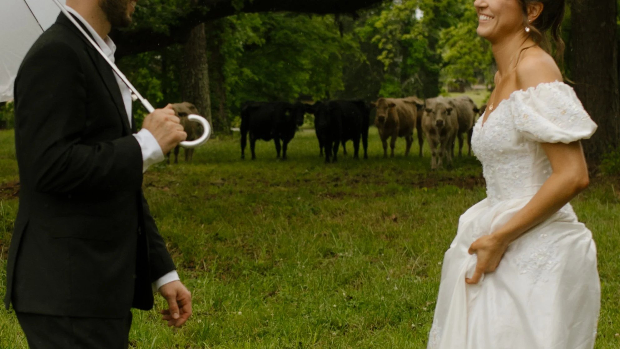 Bride and groom standing near a herd of cows during rehearsal dinner photography in Mississippi