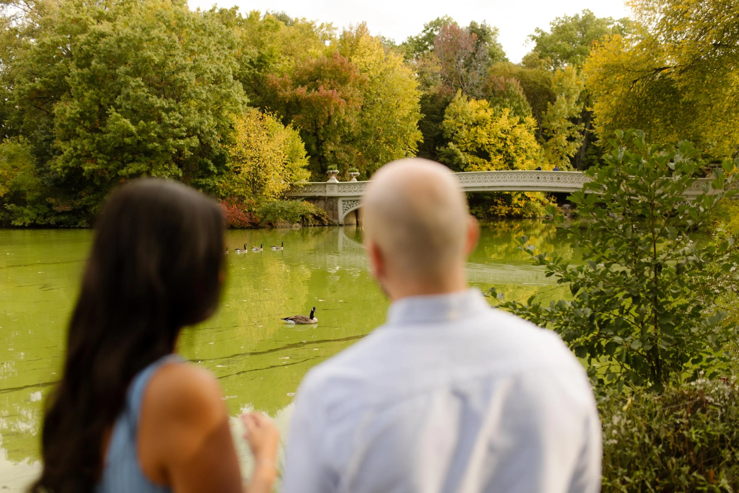 Couple watching the lake and Bow Bridge in Central Park before their proposal during a peaceful autumn afternoon.