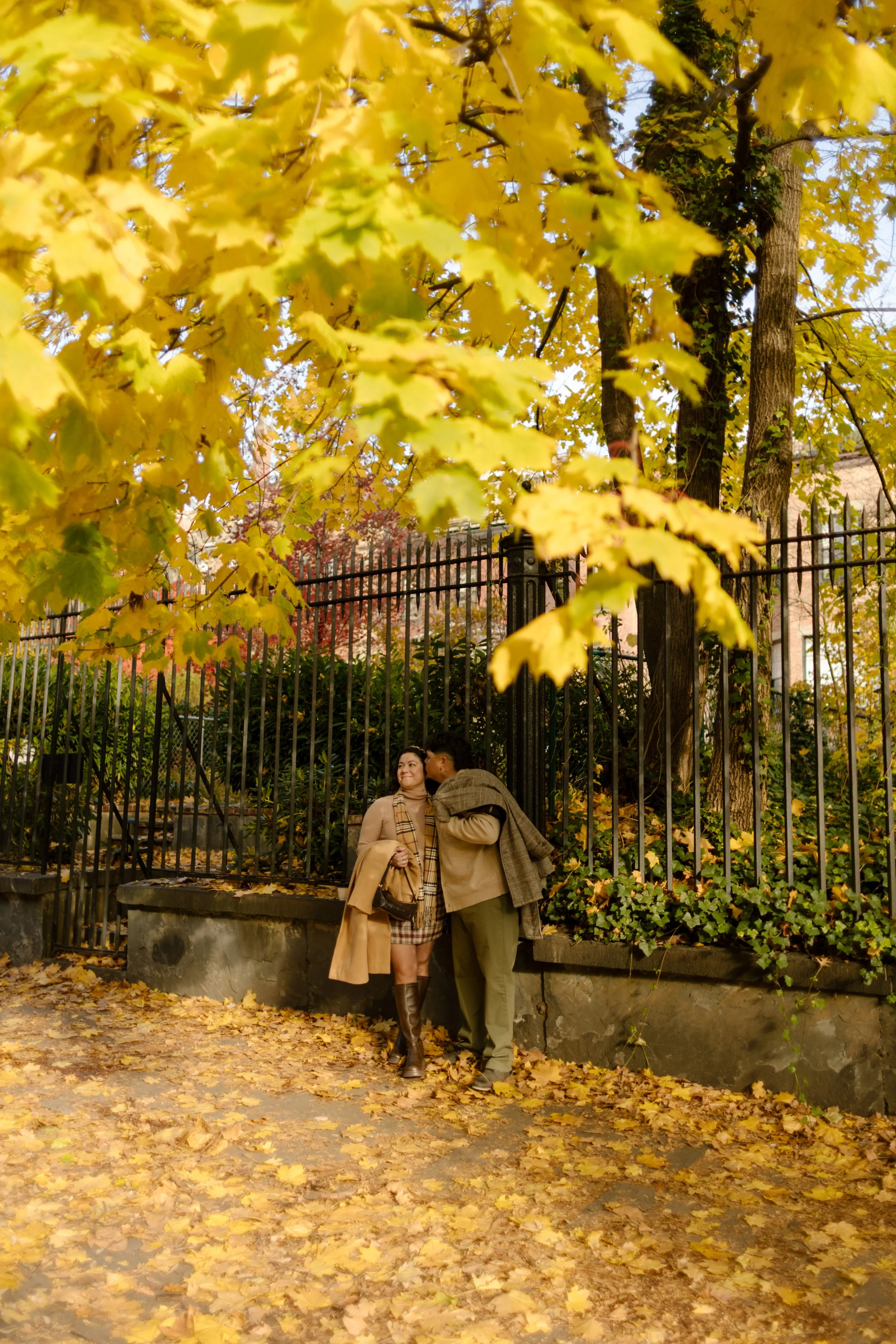 Brooklyn engagement photos of a couple cuddling beneath bright yellow fall foliage during an autumn session in Brooklyn.