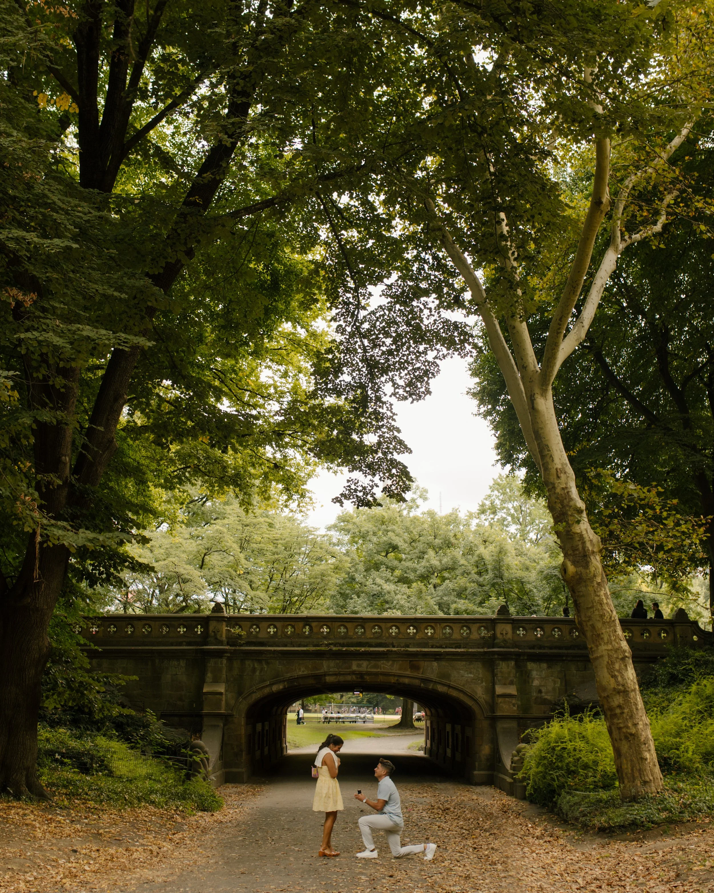 Wide landscape photograph of Chris proposing to Sienna beneath a Central Park stone bridge, surrounded by lush greenery and towering trees.