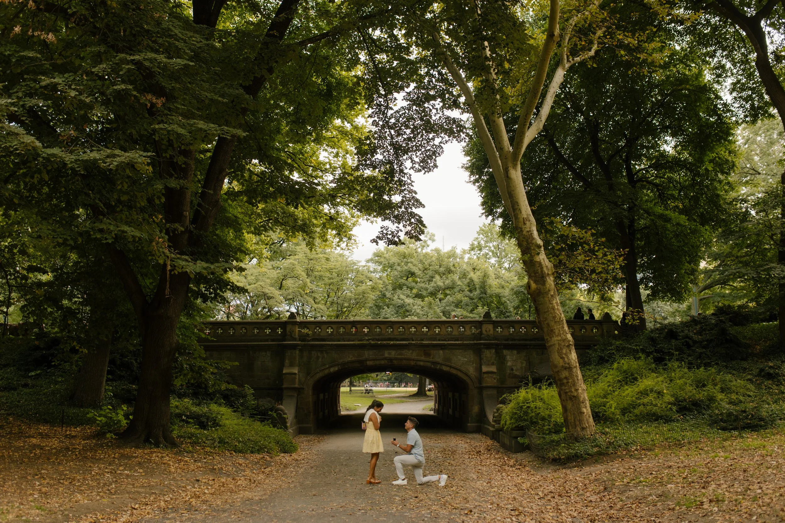 Wide landscape photograph of Chris proposing to Sienna beneath a Central Park stone bridge, surrounded by lush greenery and towering trees.