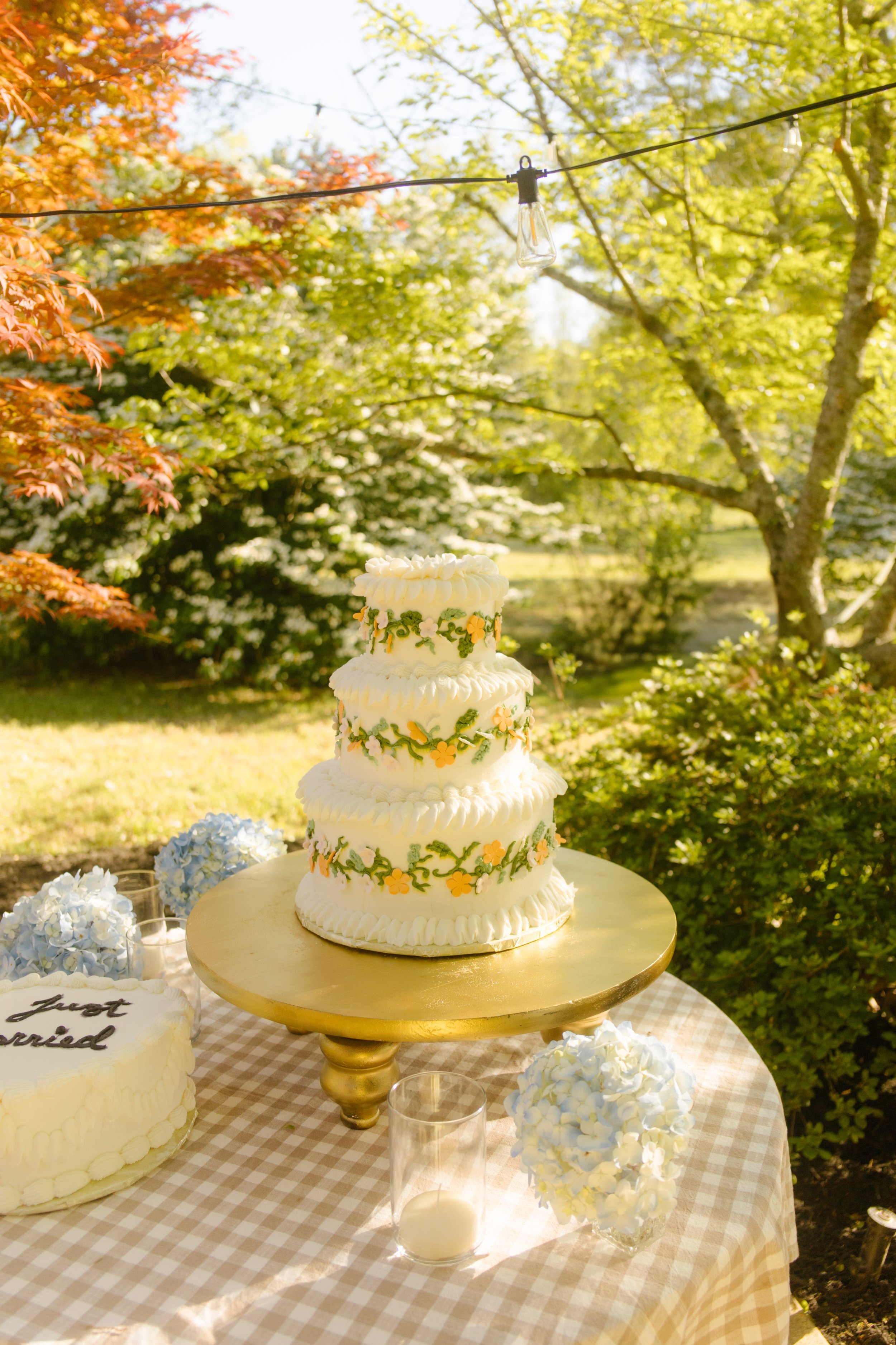 Madelinerosephotos-2140 copy.jpg