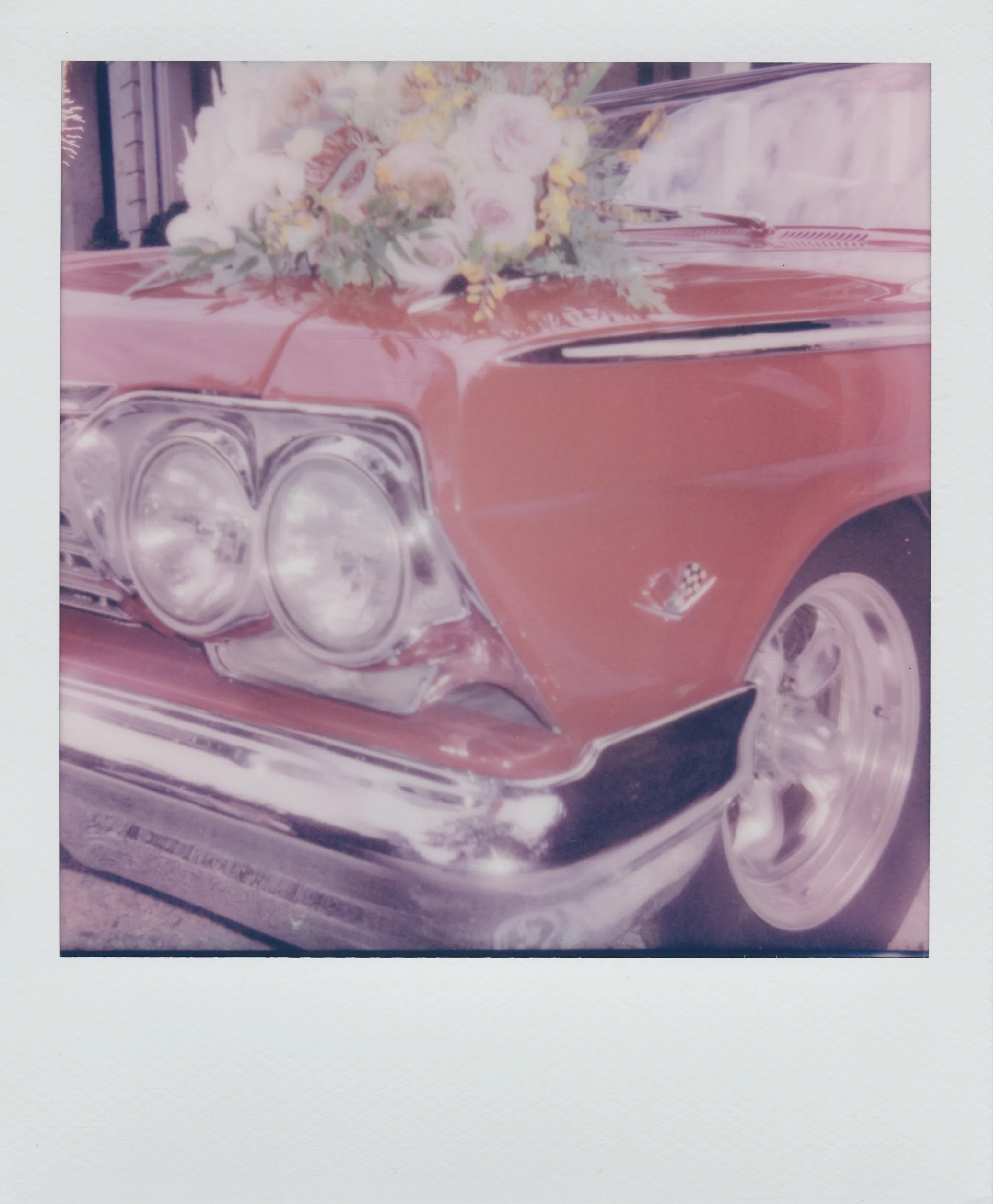 madeline polaroid 2 2.JPG