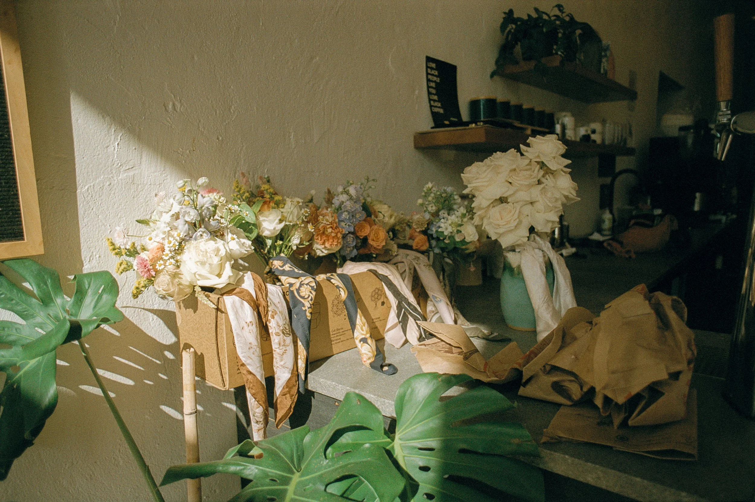 Madelinerosephotos-1-3 copy.JPG