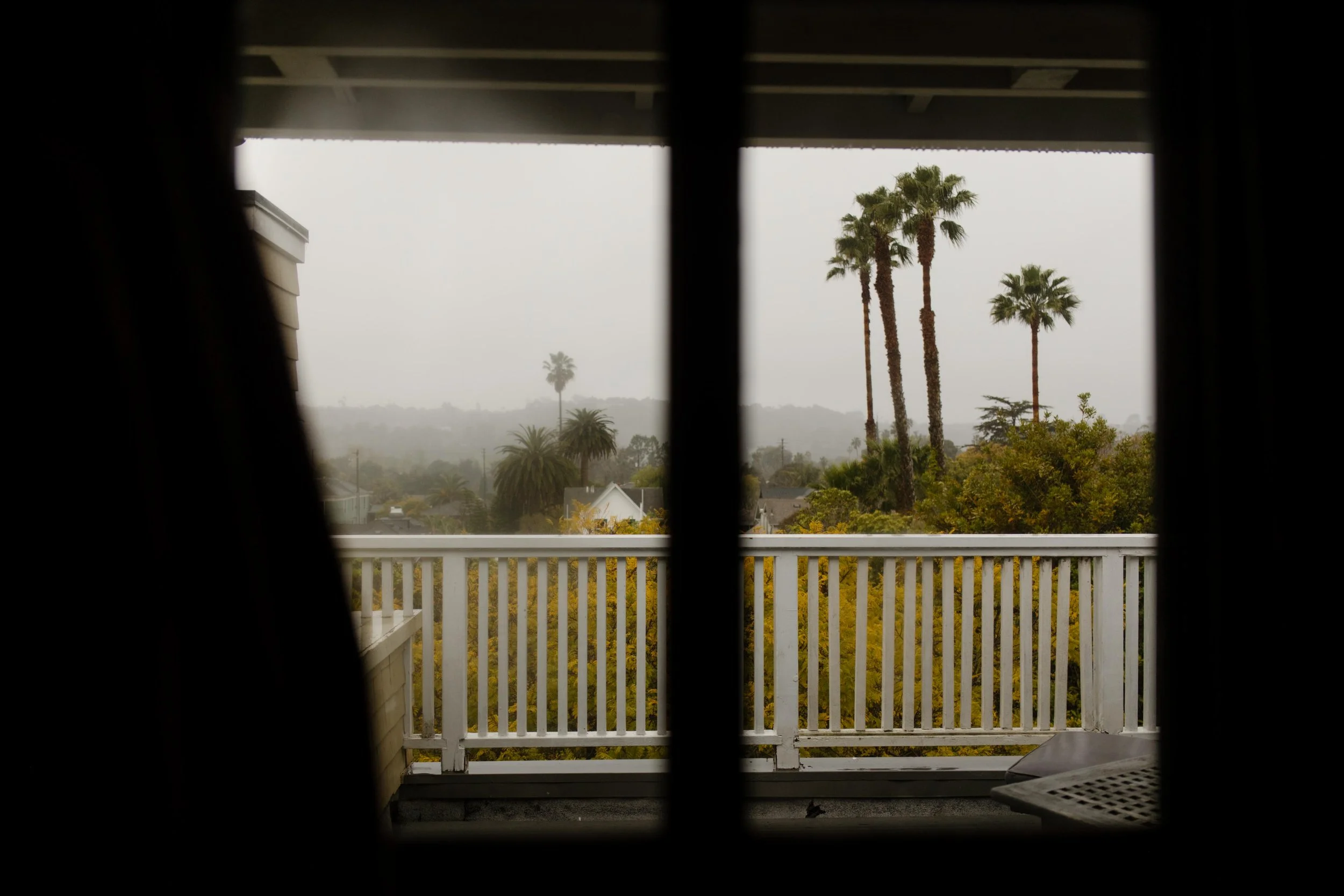 A quiet, moody view of palm trees through a window on a foggy morning, soft light spilling onto a white balcony.