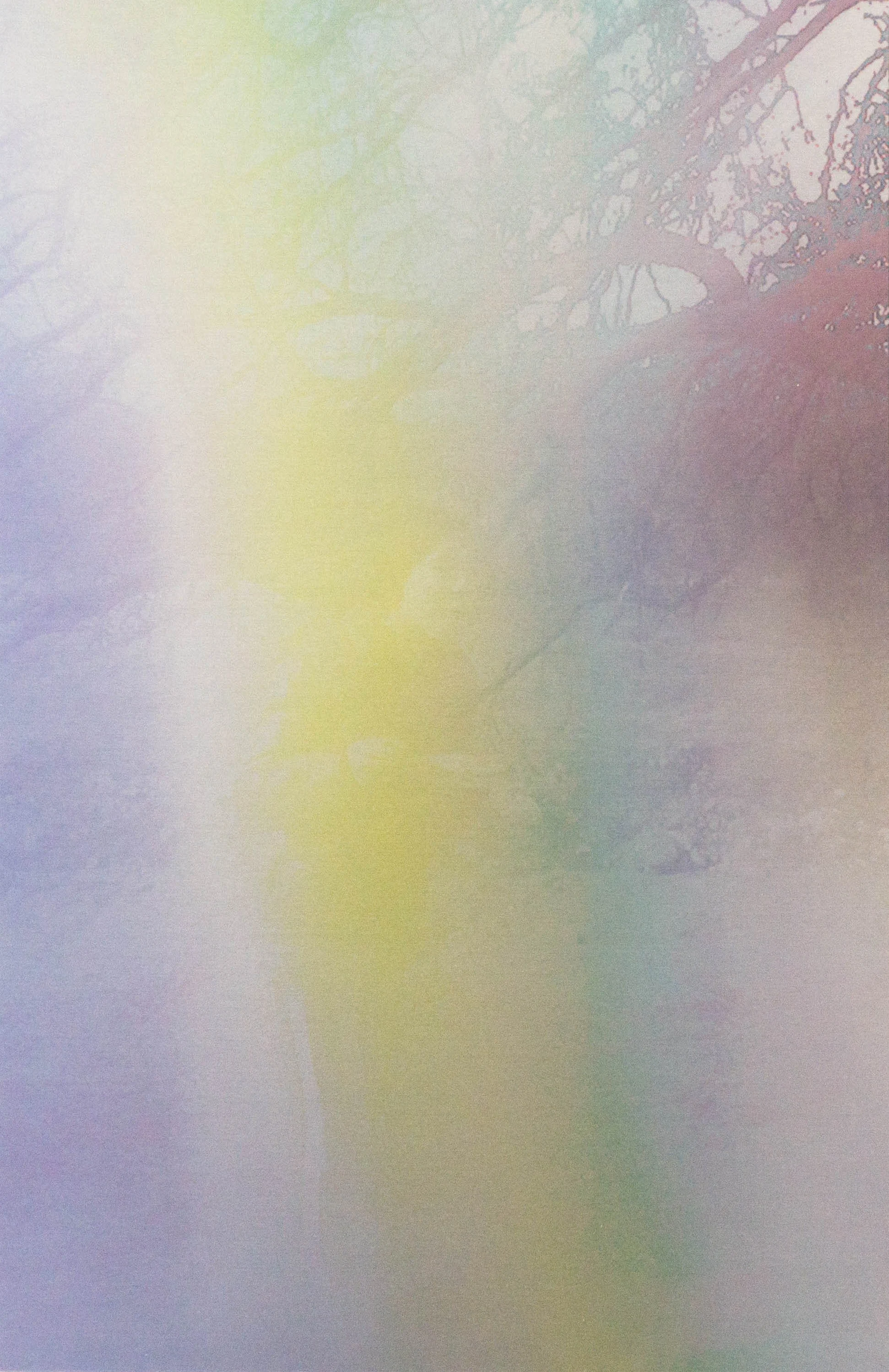EWYHF_prints-reduced-01 copy.jpg