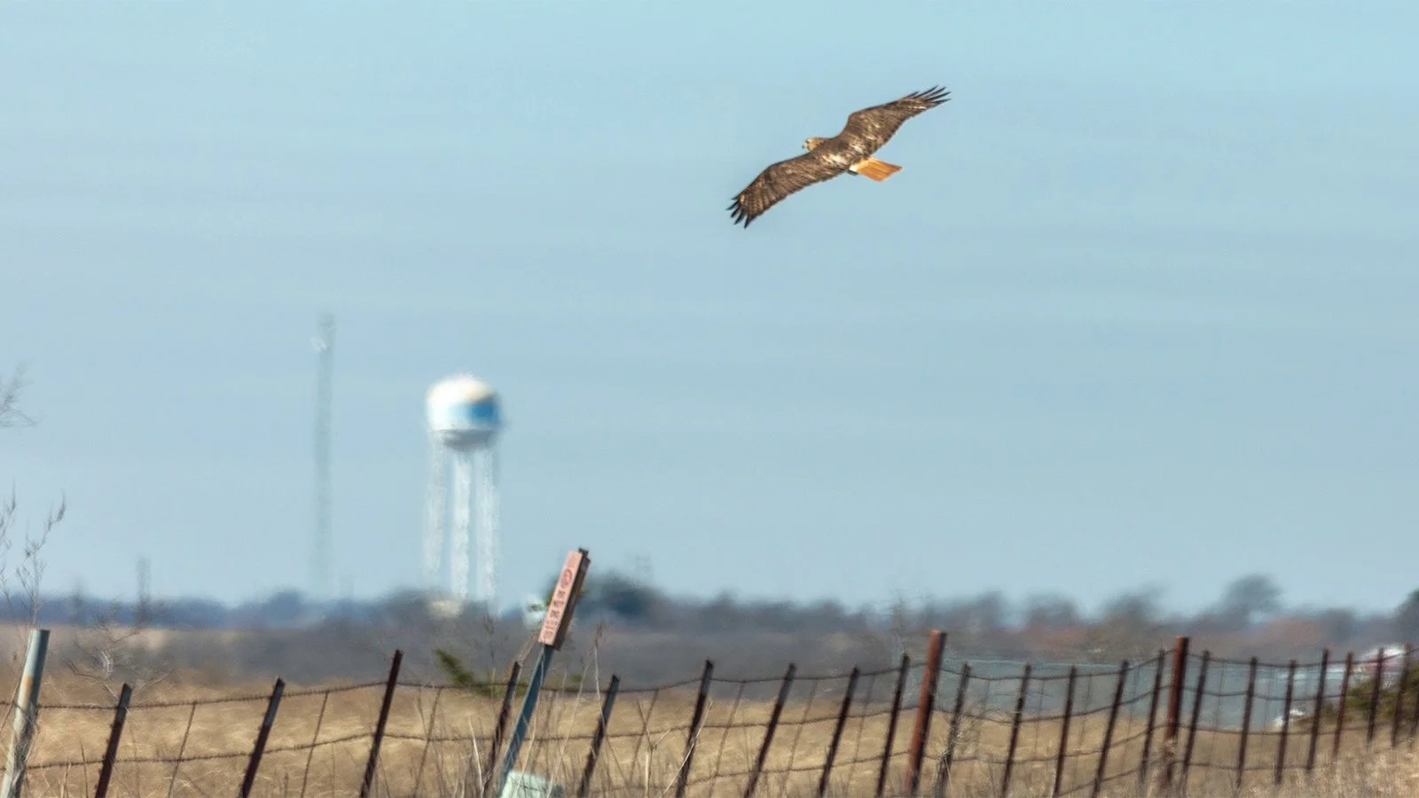 Soaring over the backroads.