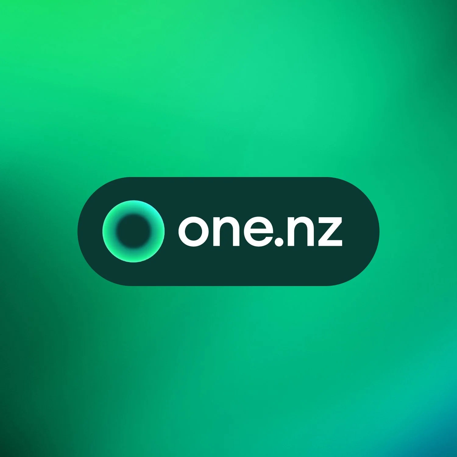 One NZ logo.jpg