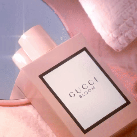 gif01.gif