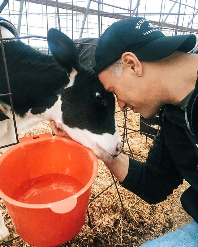 It doesn't get fresher than this: taste cheese on-site at the dairy where it's made! We'll pair it with cider and enjoy peaches and cream pairings, too. Plus, we'll tour the farm to meet the cows who make it all possible &mdash; it's a fun Experience