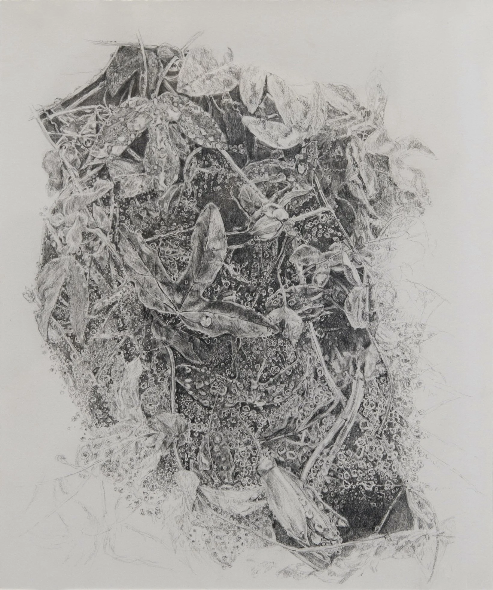 A sky full of rain 2022, Graphite on paper, 12 x 10 in