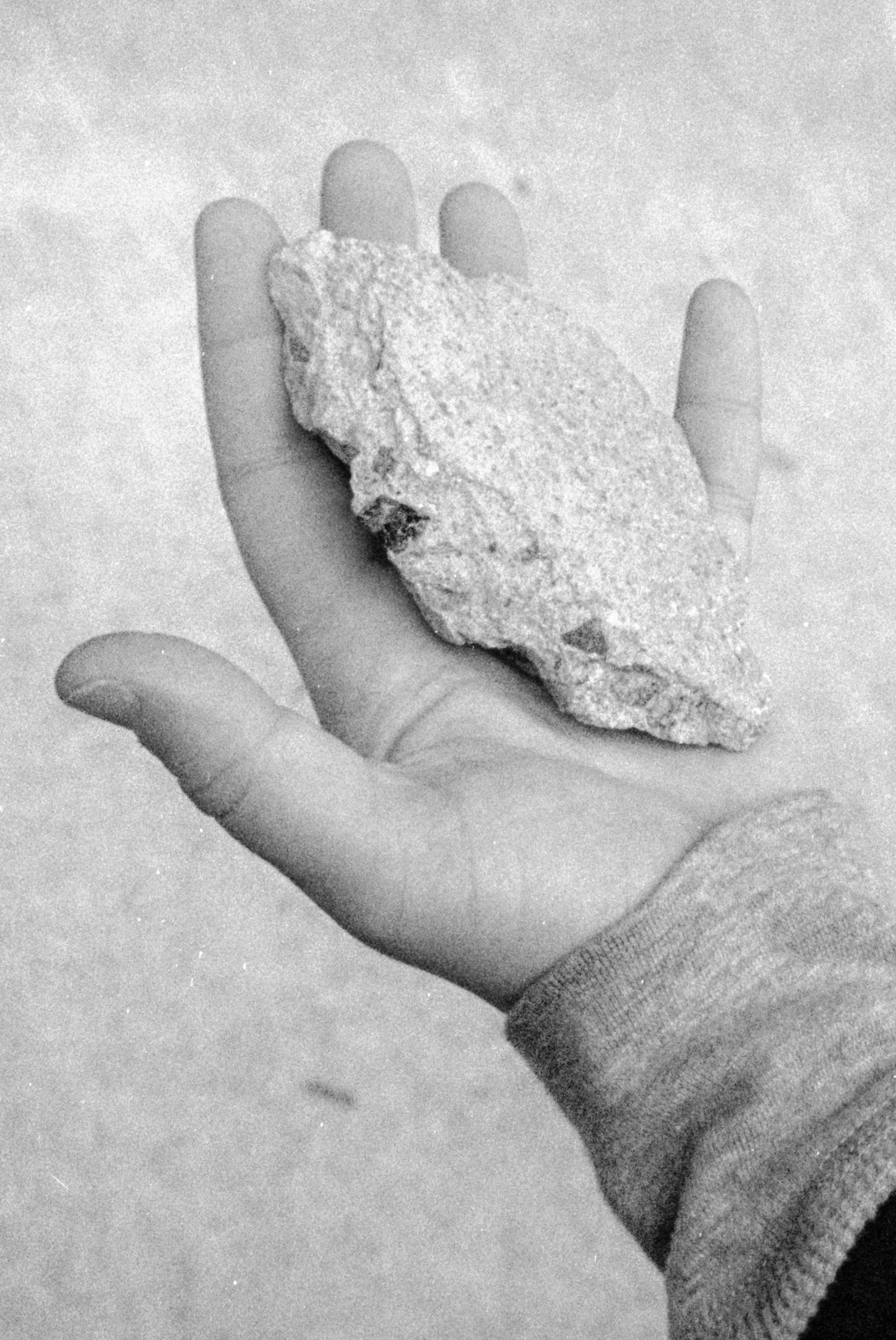 BrynneQuinlan-001-3.jpg
