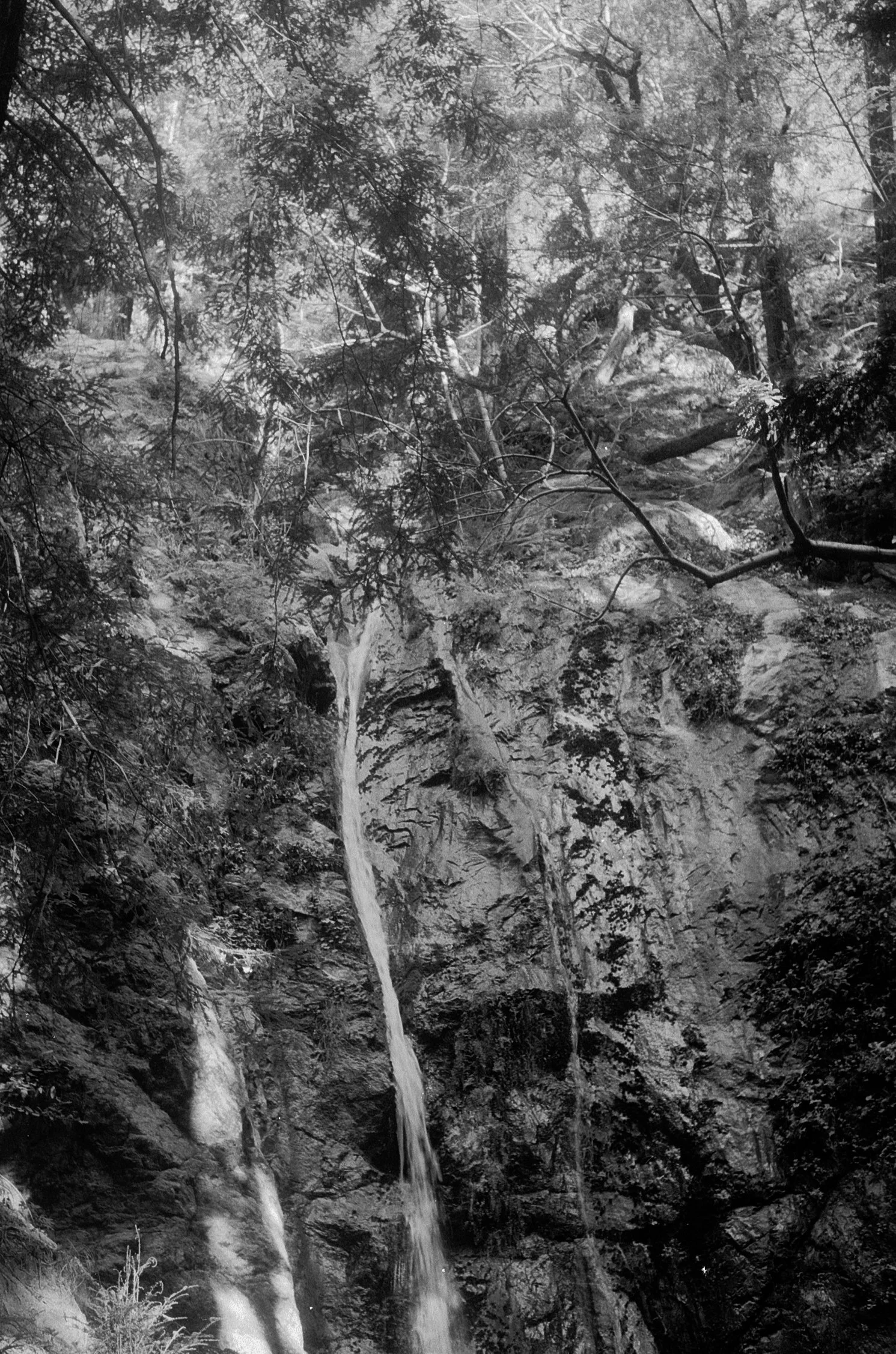 BrynneQuinlan0-003.jpg