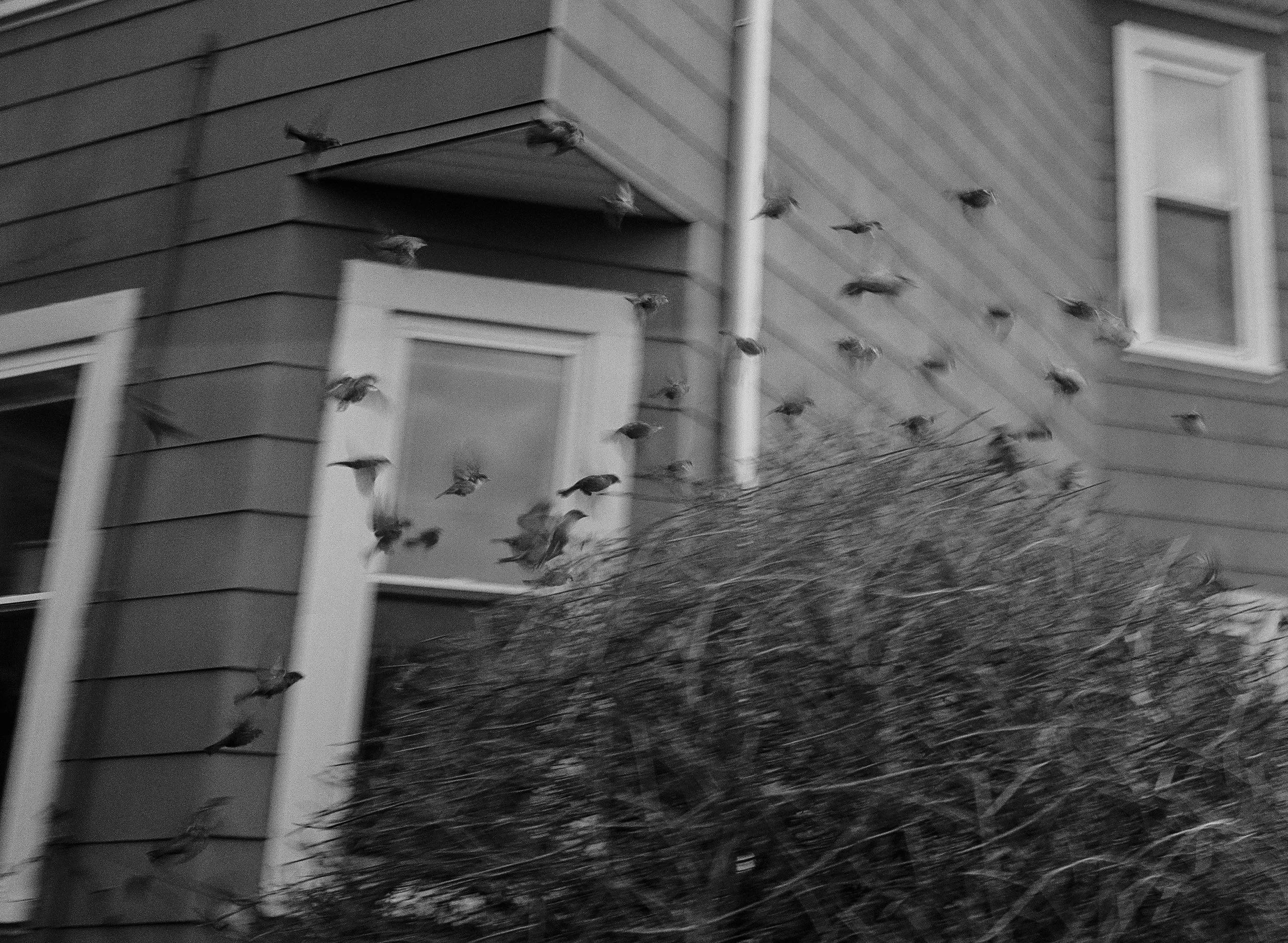 _.jpg