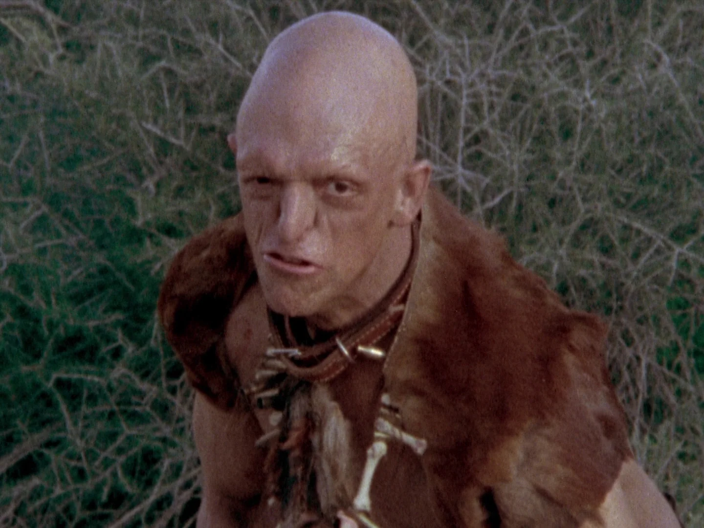 hills-have-eyes.jpg
