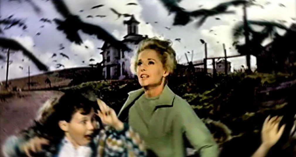 EOH Presents: The Birds (1963)