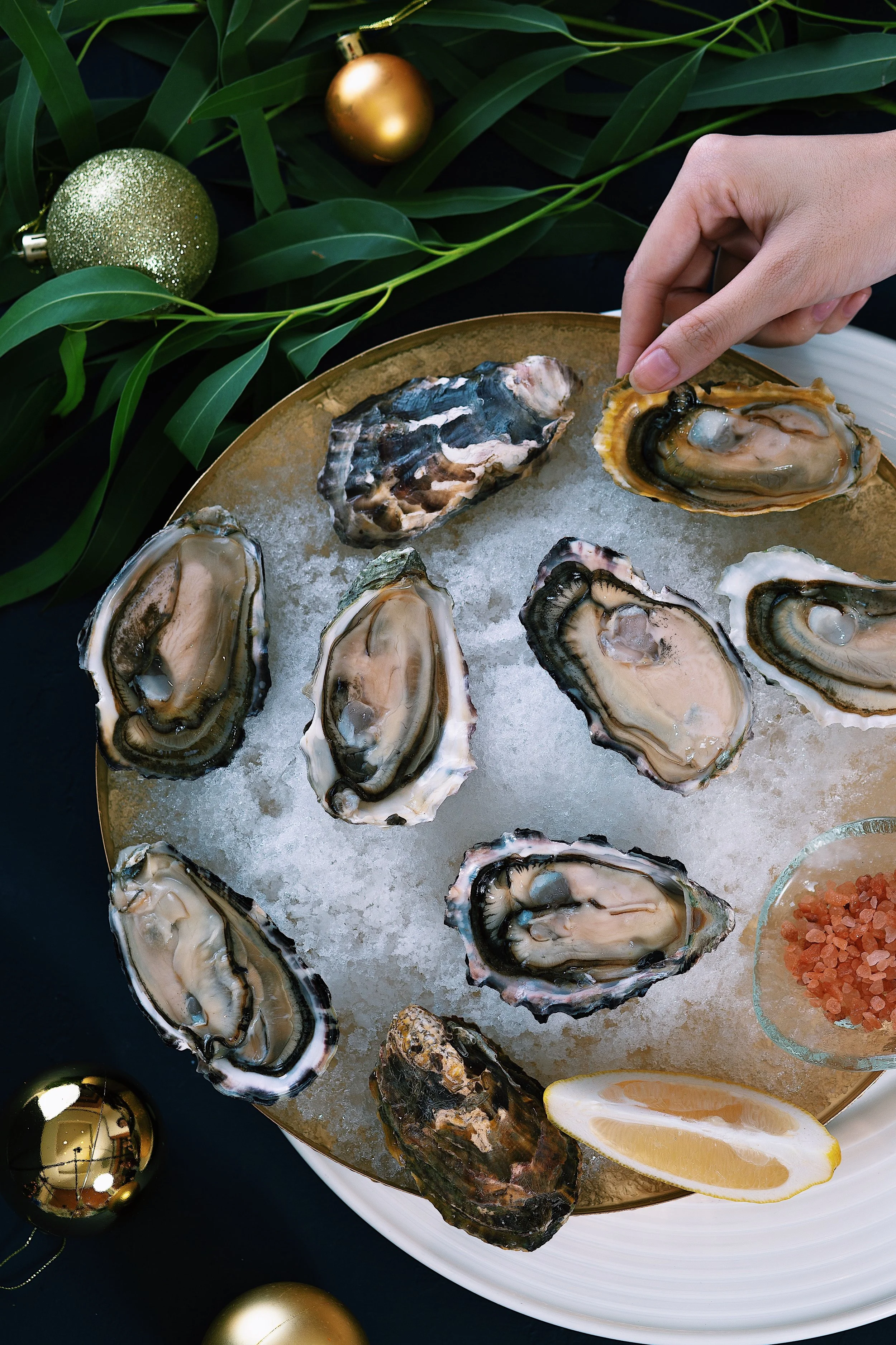 [DoiStudioVnxNewWorldSG] Xmas Photoshoot-6.JPG