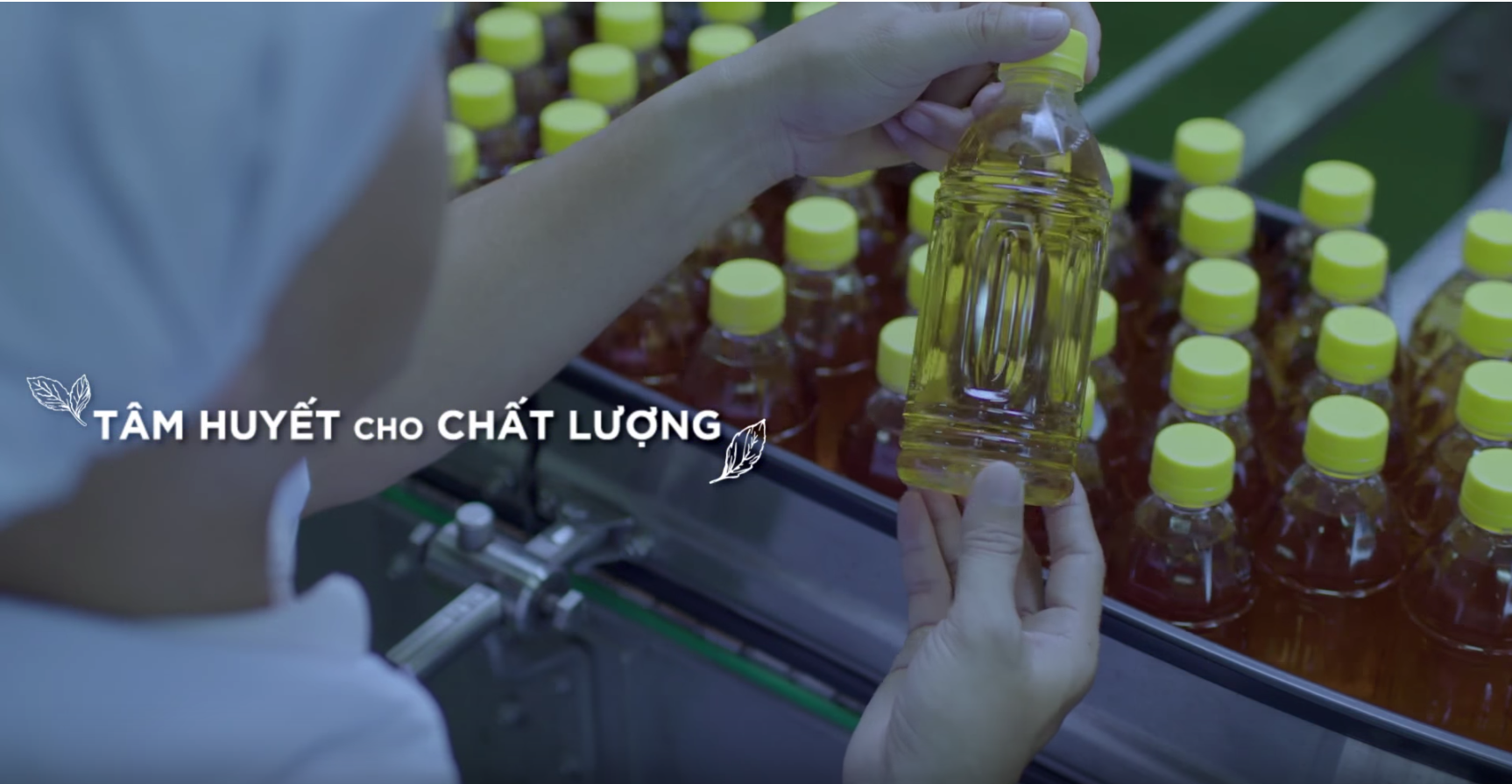 Screen Shot 2019-01-17 at 5.13.49 PM.png