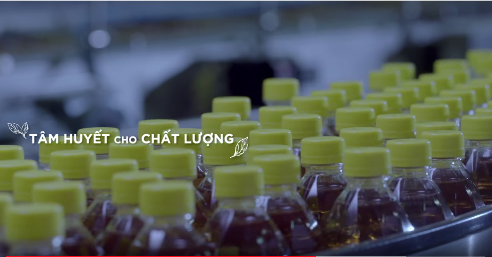 Screen Shot 2019-01-17 at 5.13.41 PM.png