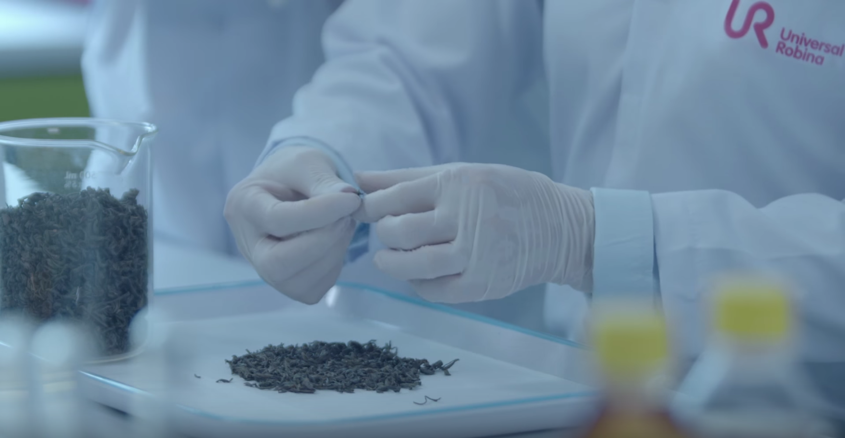 Screen Shot 2019-01-17 at 5.12.40 PM.png