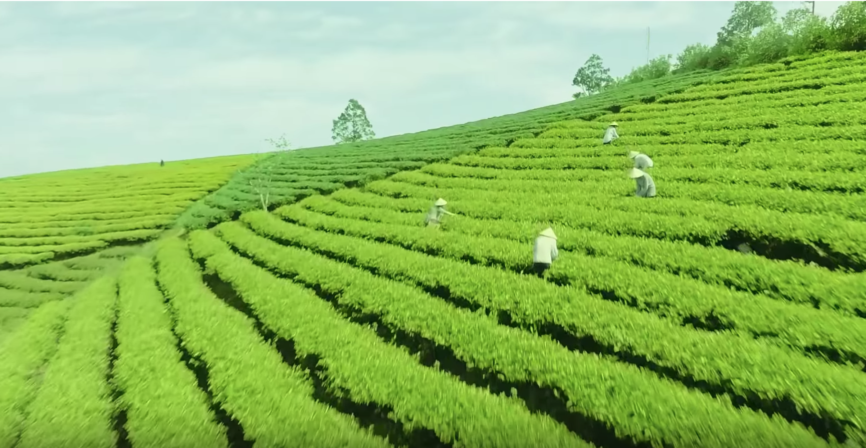 Screen Shot 2019-01-17 at 5.11.23 PM.png