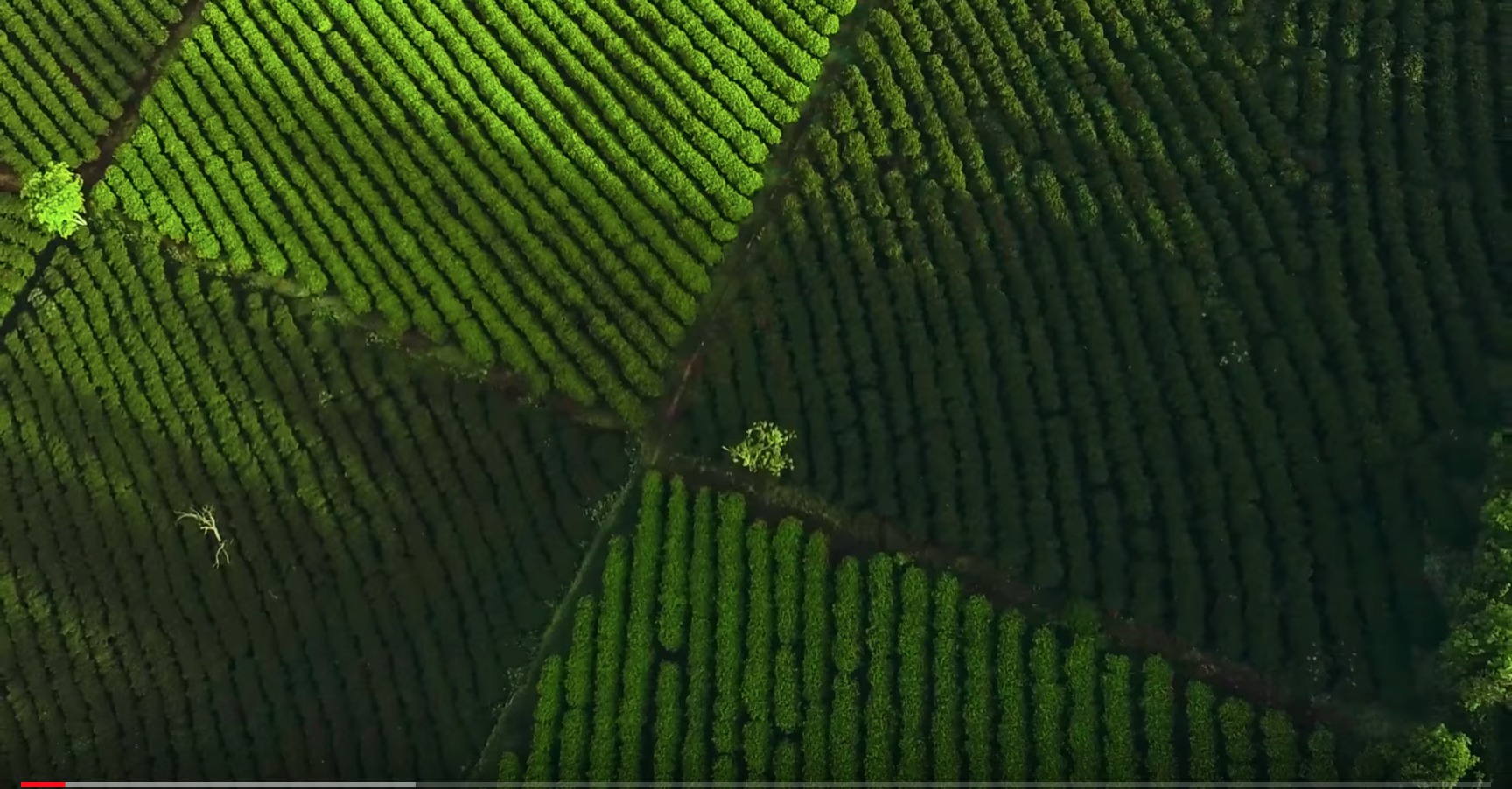 Screen Shot 2019-01-17 at 5.11.08 PM.png