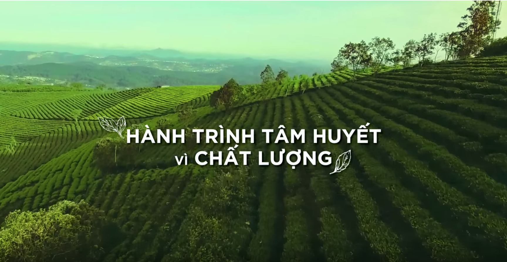 Screen Shot 2019-01-17 at 5.10.56 PM.png