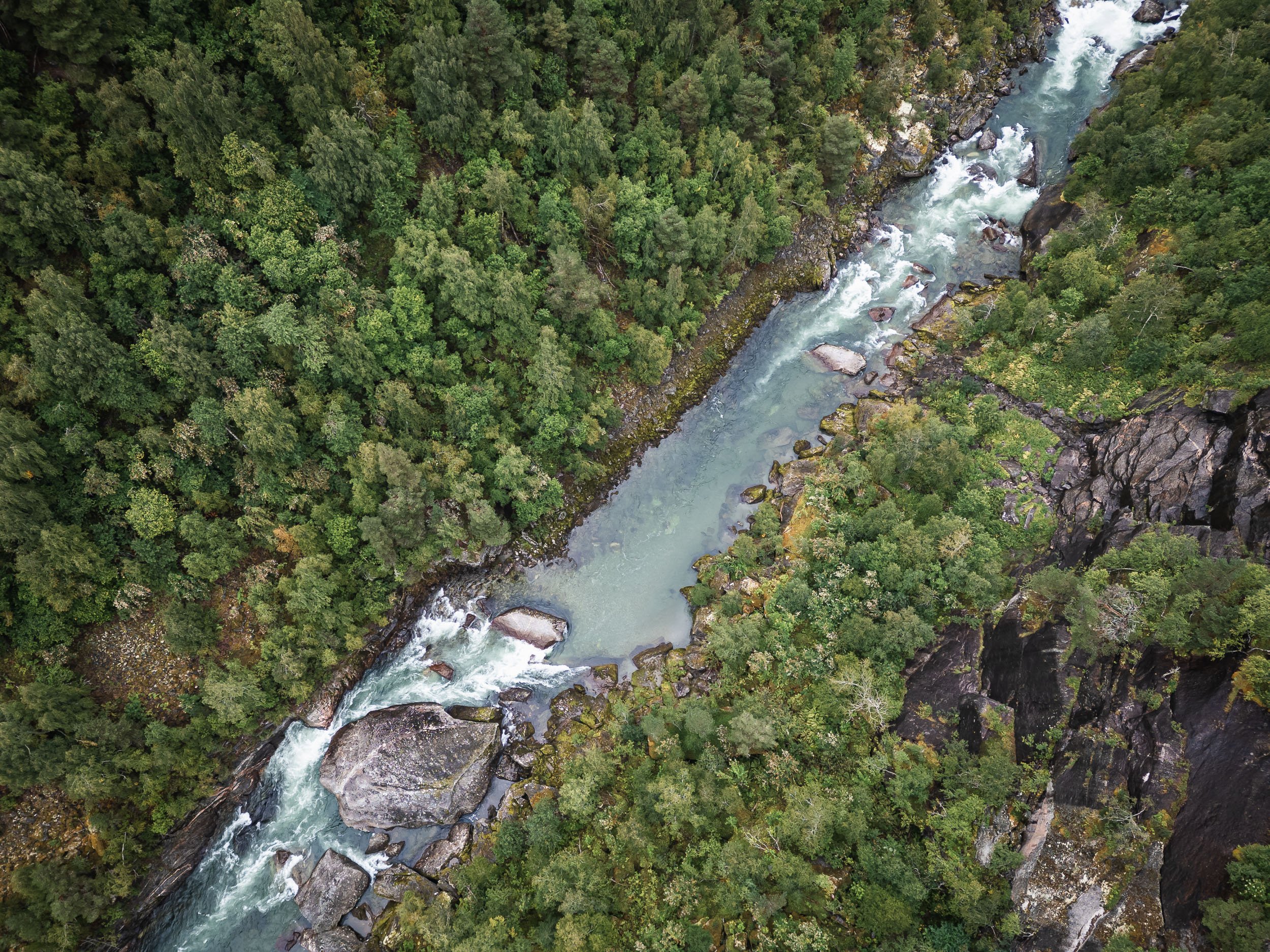 DJI_0173.jpg