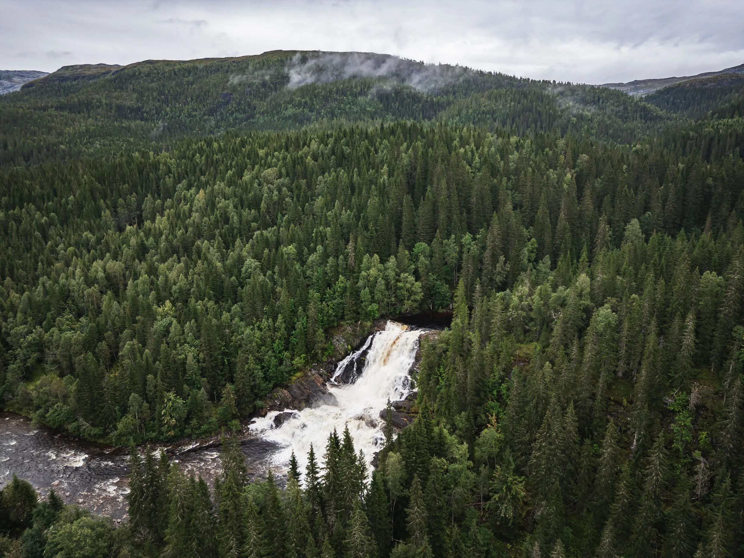 DJI_0218.jpg